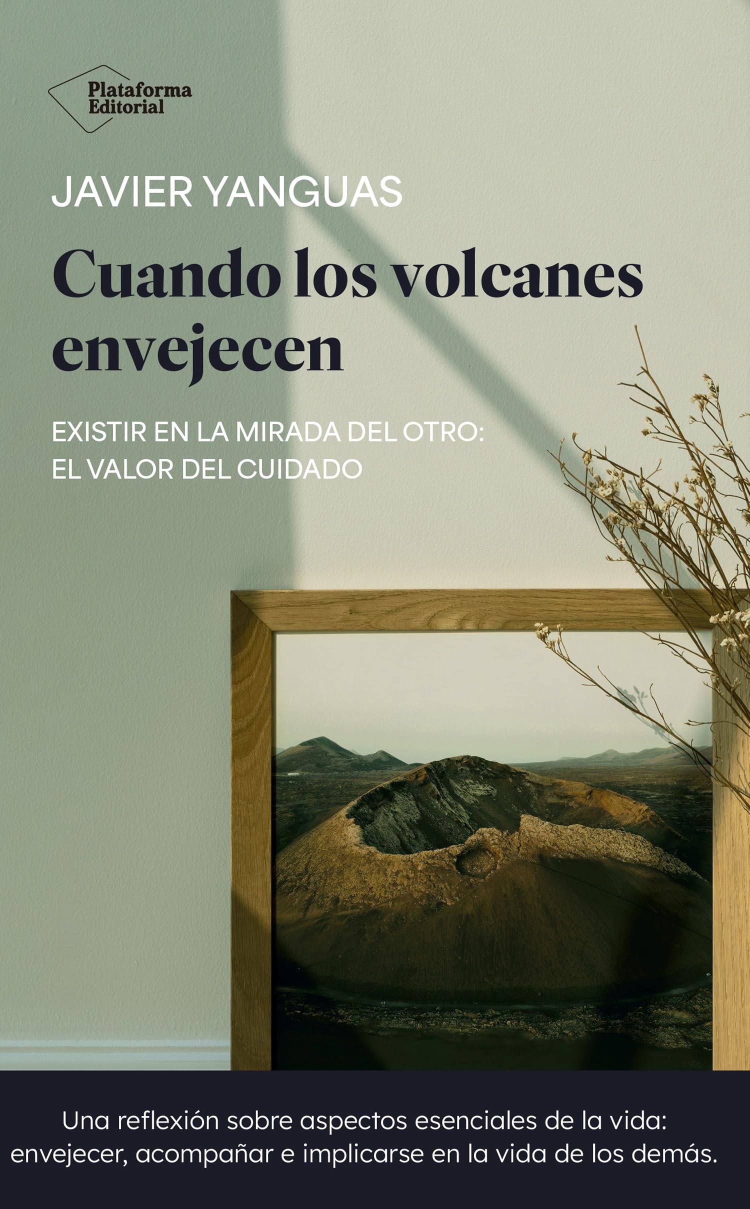 Cuando los volcanes envejecen: Existir en la mirada del otro: el valor del cuidado