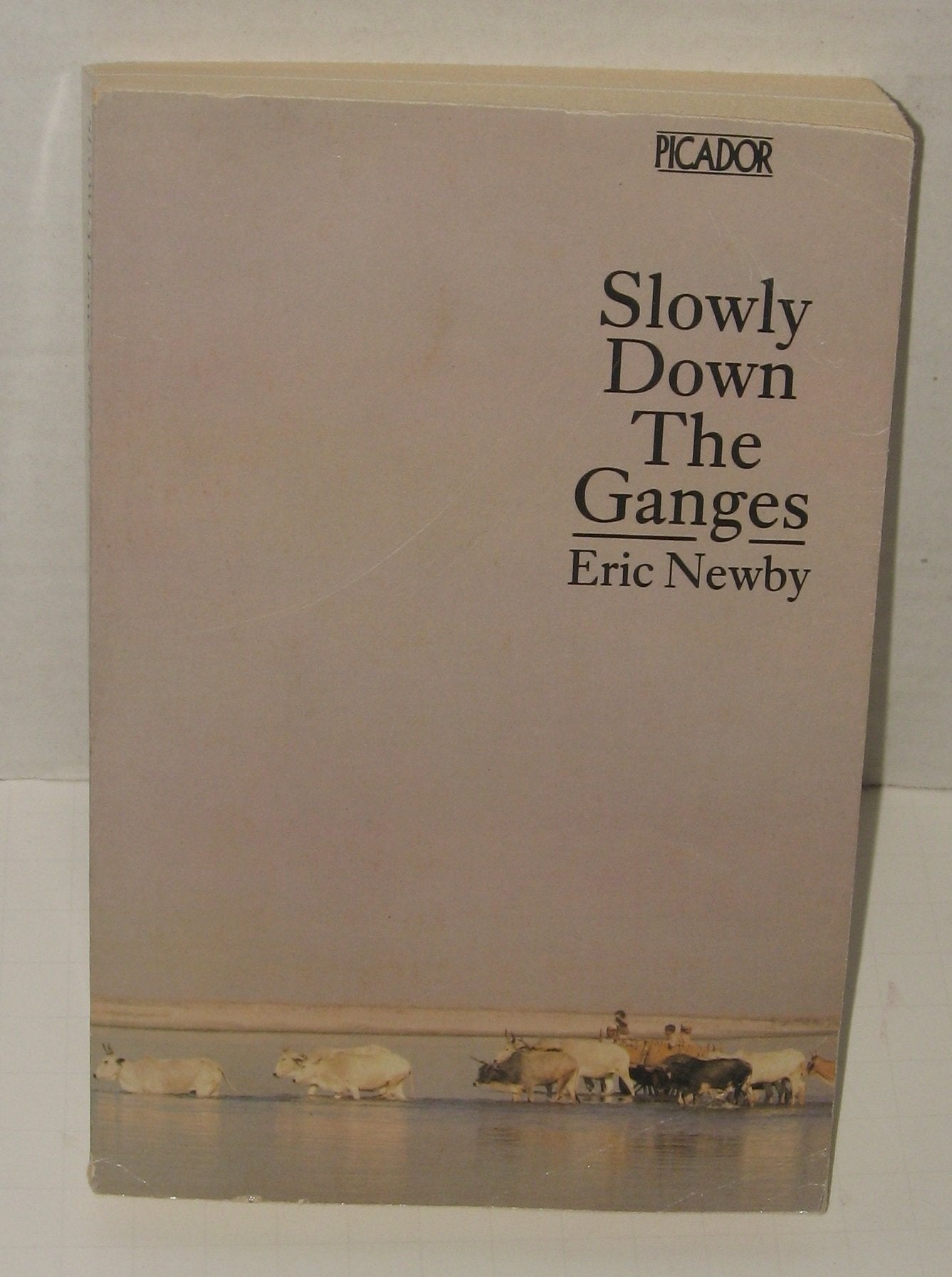 Slowly Down the Ganges