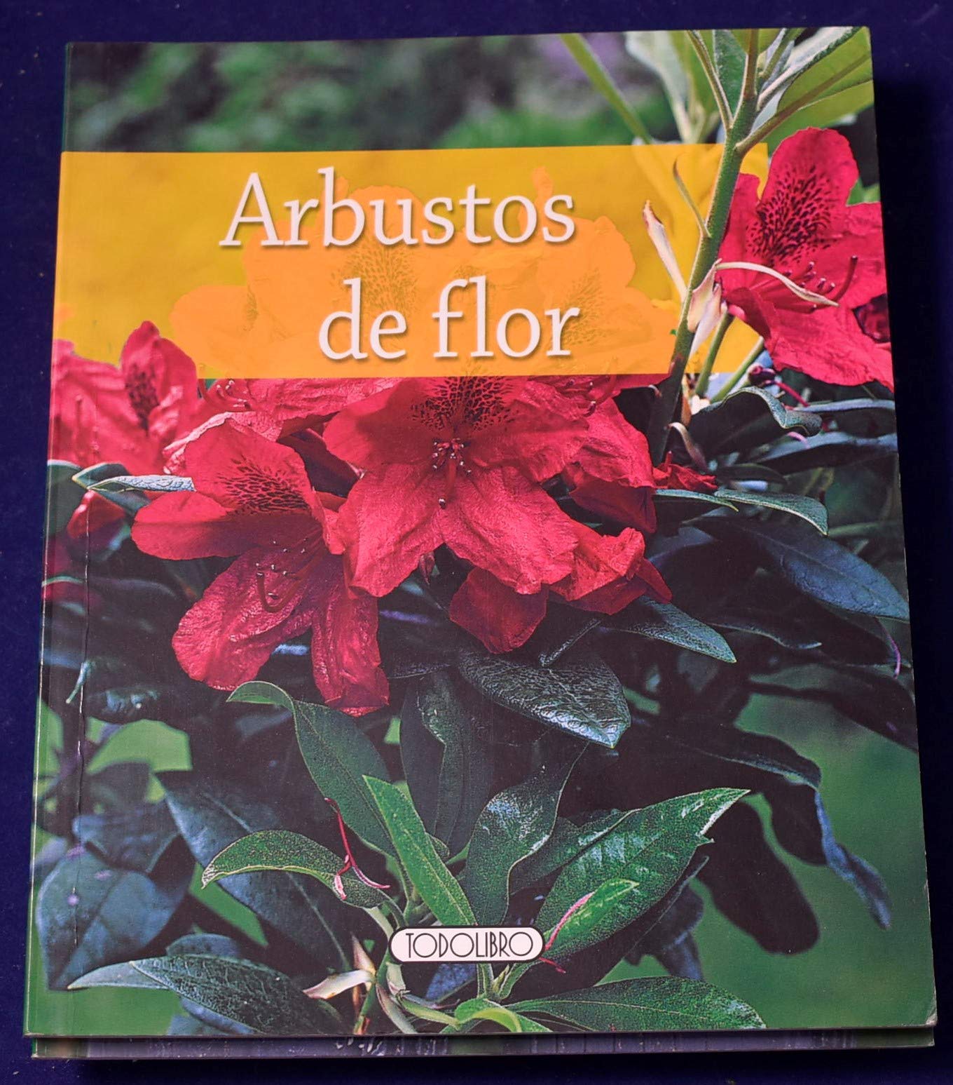 ARBUSTOS DE FLOR
