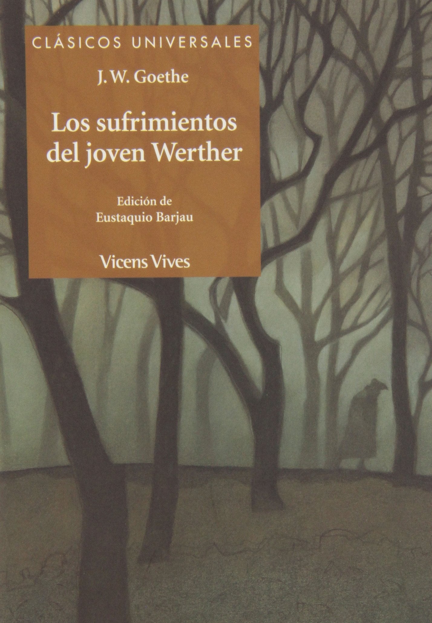 Los Sufrimientos Del Joven Werther (Clásicos Universales) - 9788468206646