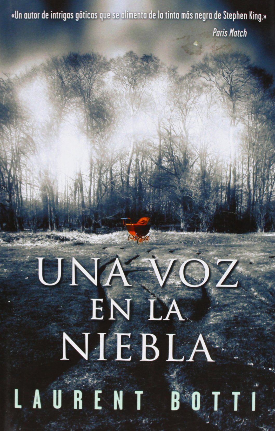 Una voz en la niebla (NOVELA DE INTRIGA)