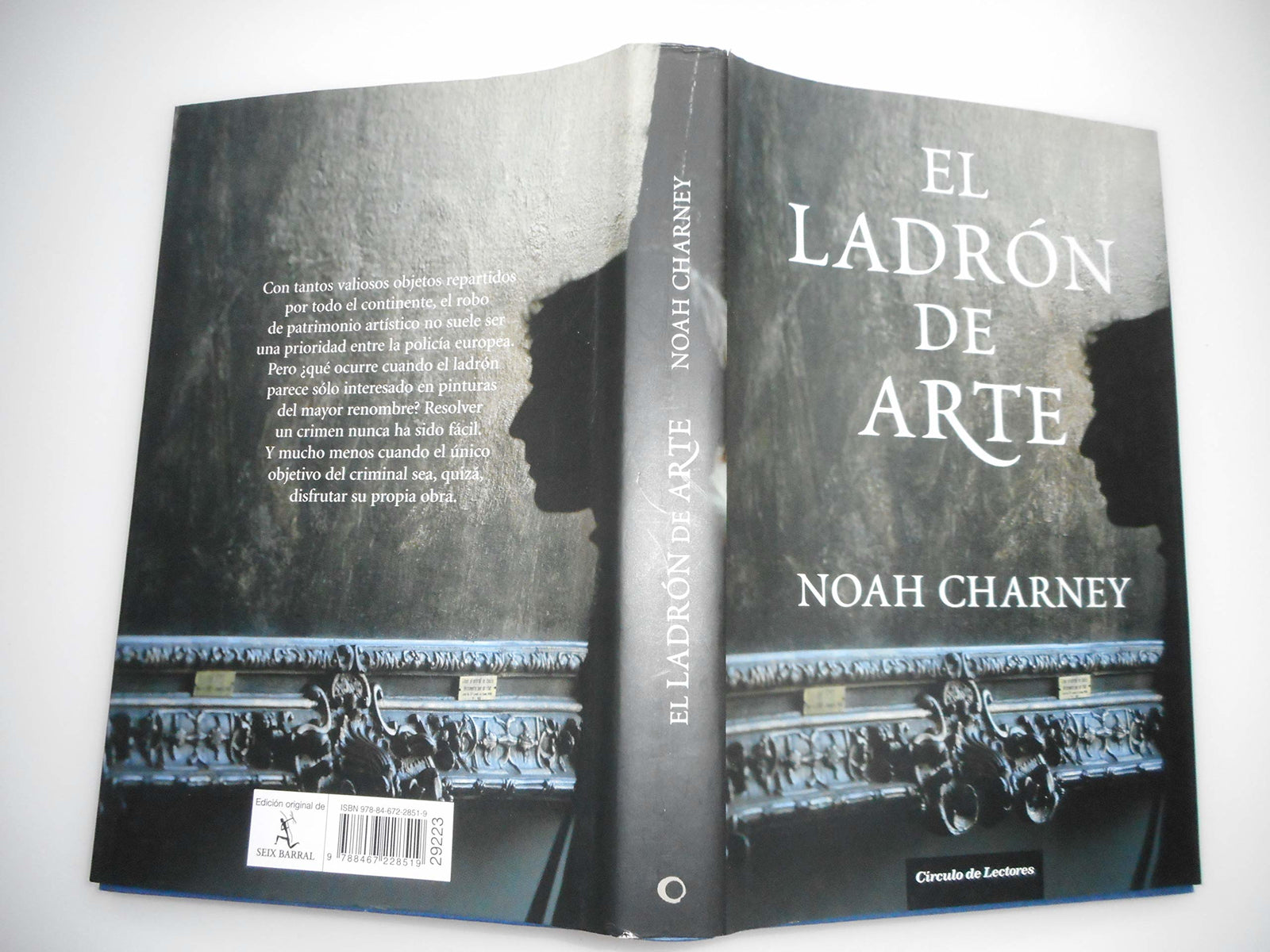 El Ladrón De Arte