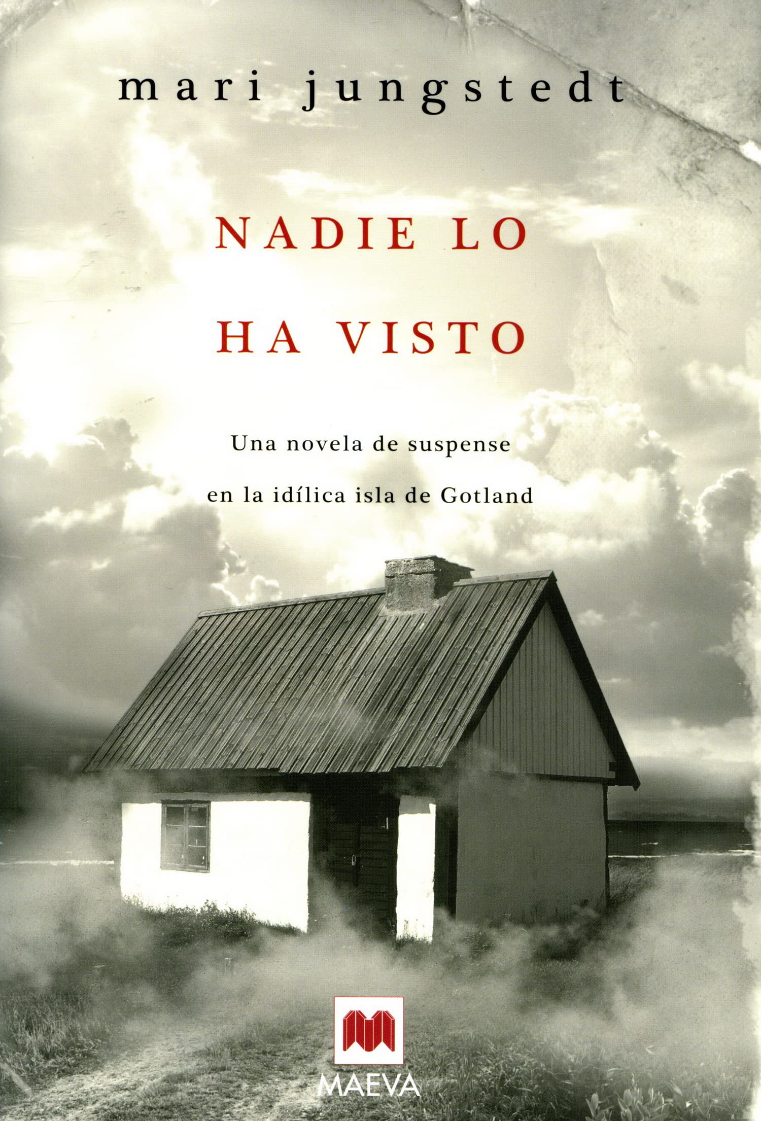 Nadie lo ha visto (Serie Gotland 1): Una novela de suspense en la idílica isla de Gotland (MAEVA noir)