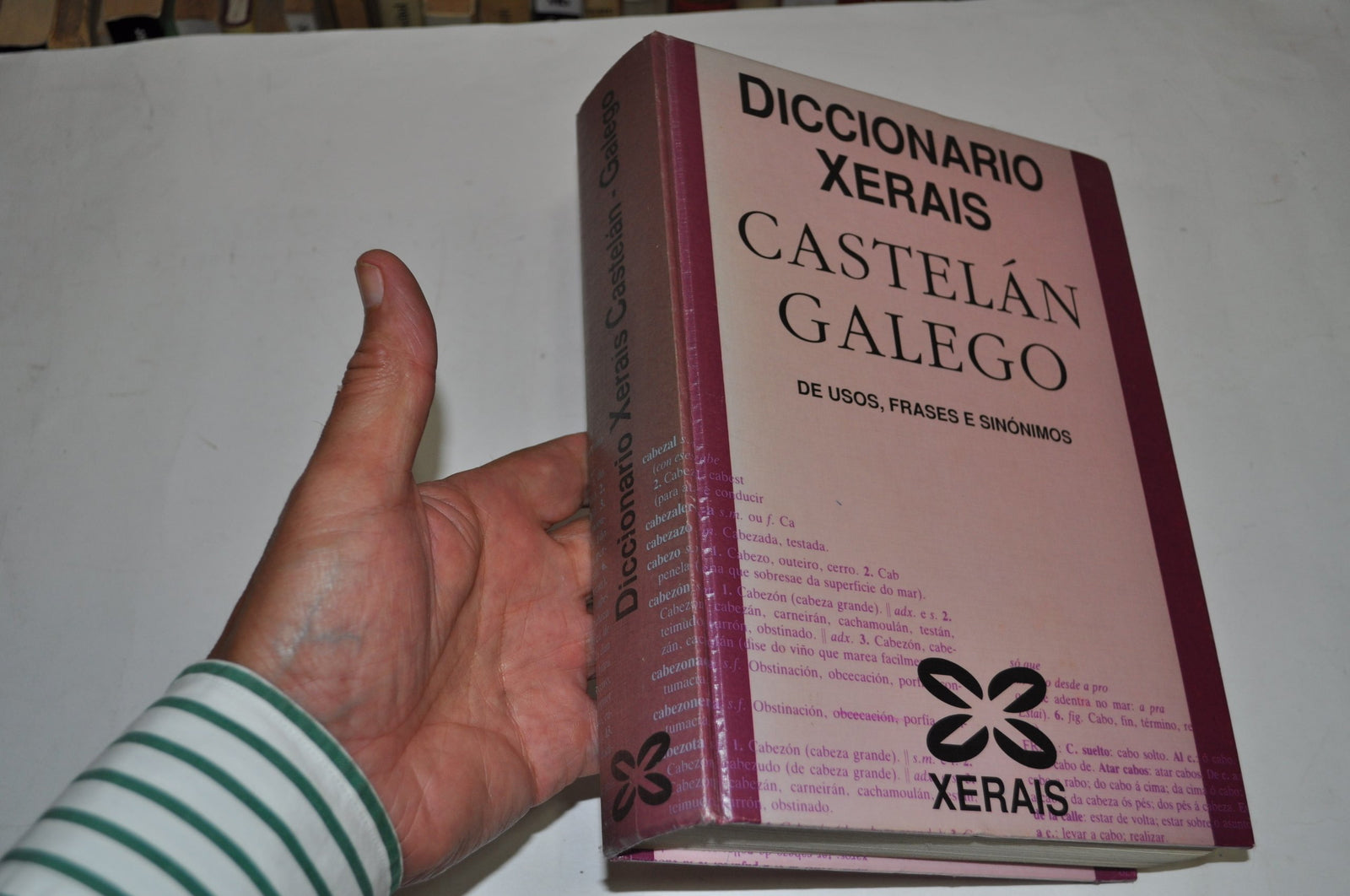 Diccionario Xerais 