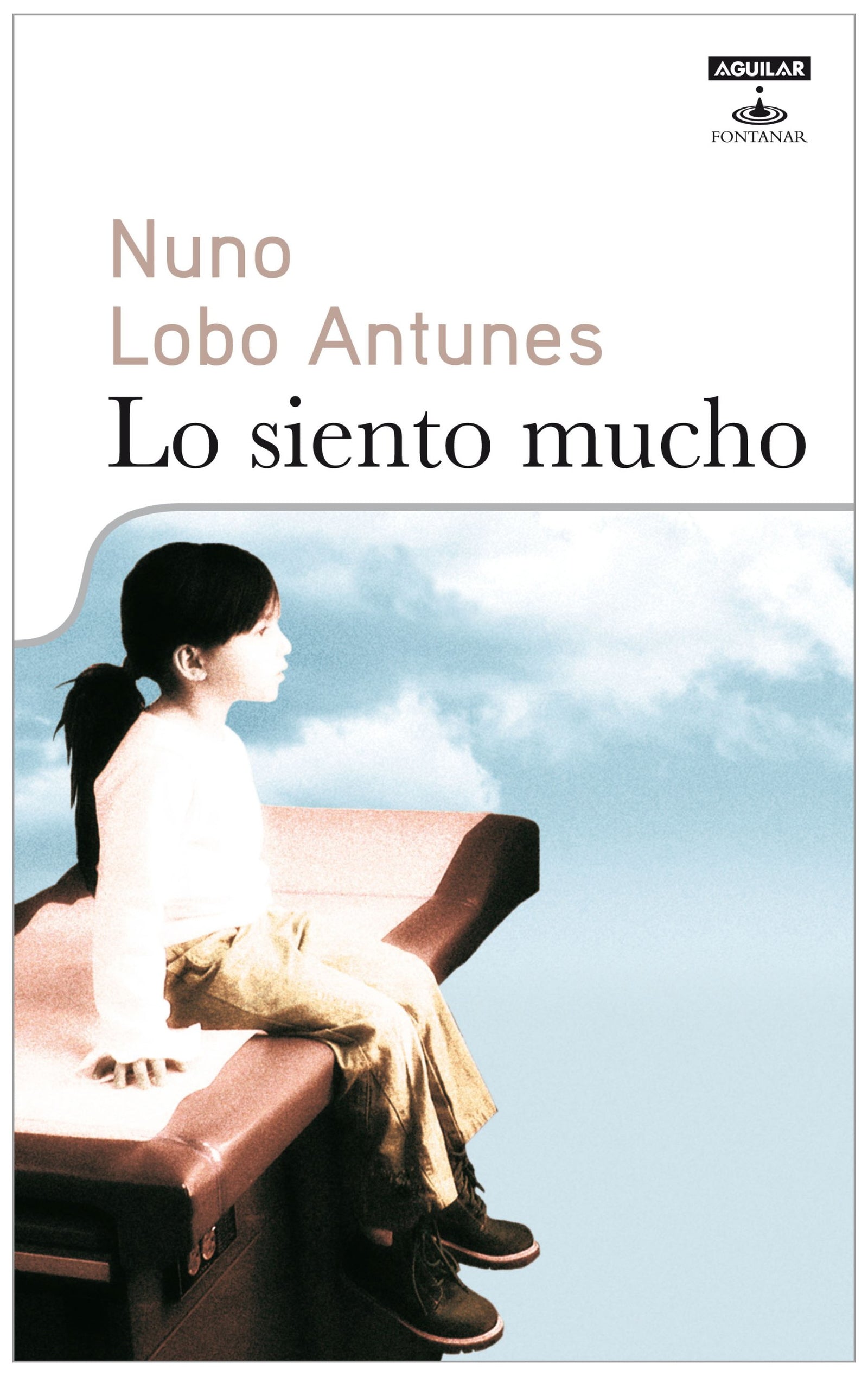 Lo siento mucho (Fontanar)