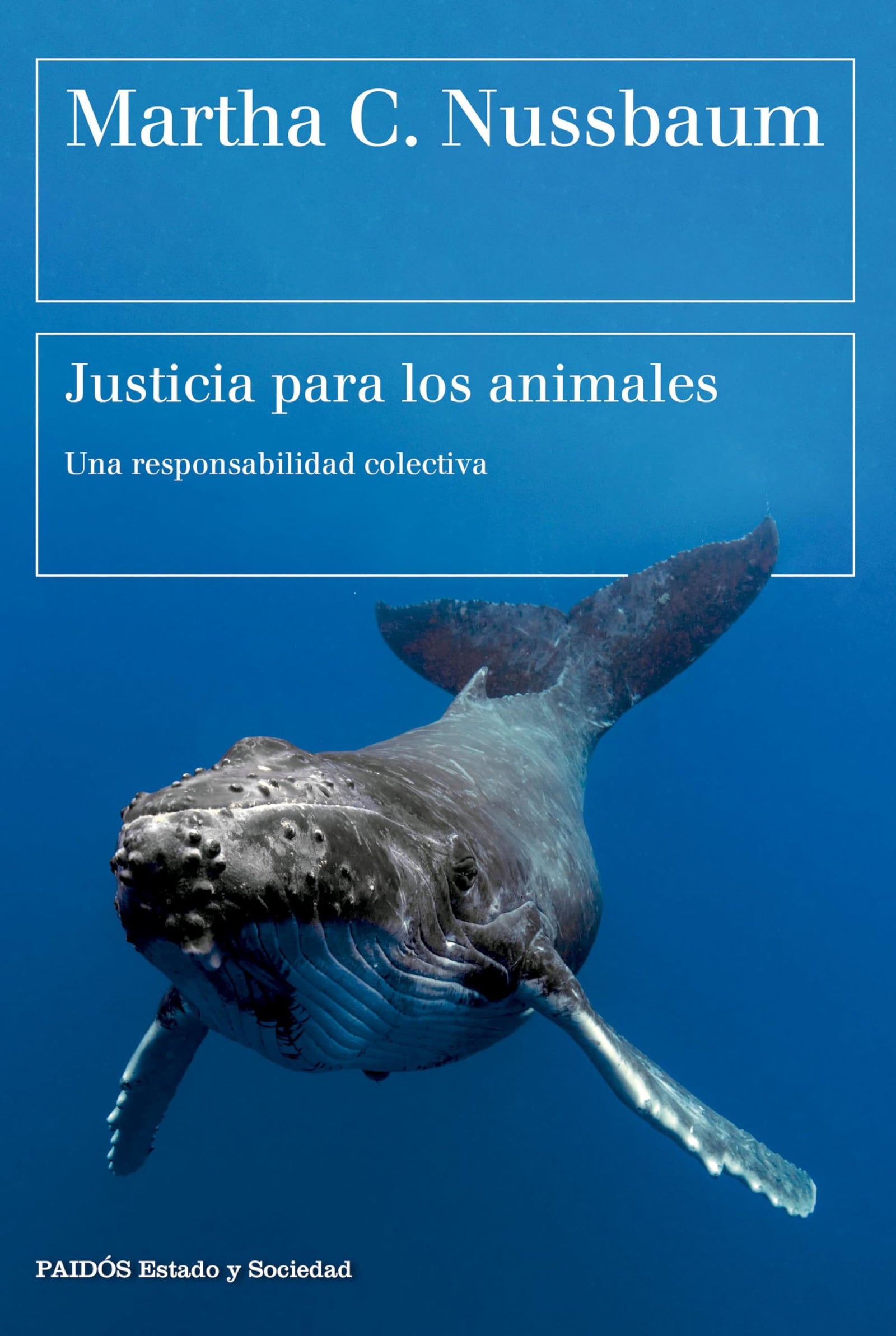 Justicia para los animales: Una responsabilidad colectiva (Estado y Sociedad)