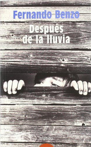 Después de la lluvia (Algaida Literaria - Premio De Novela Ciudad De Majadahonda)