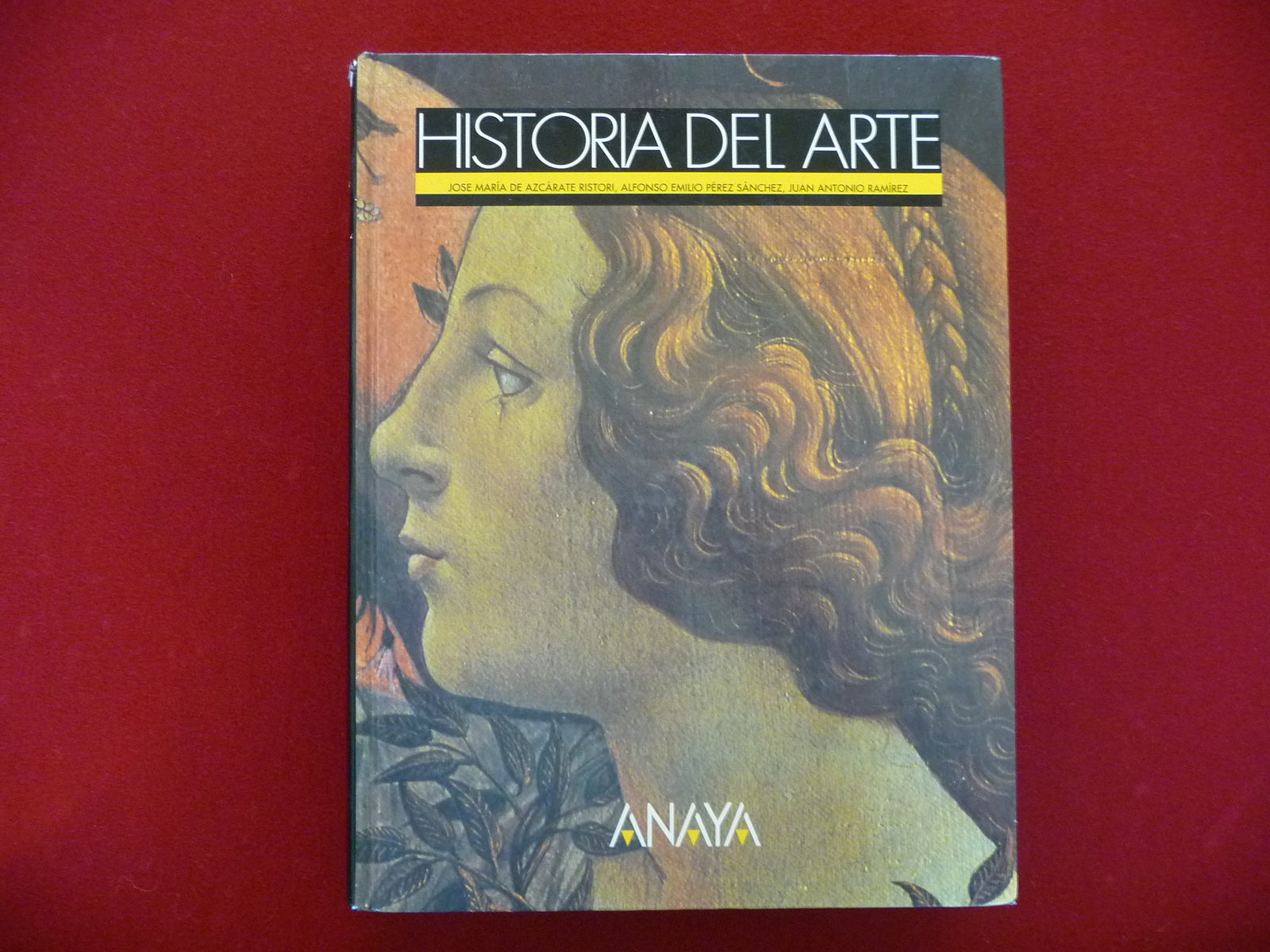 Historia del arte (cou)