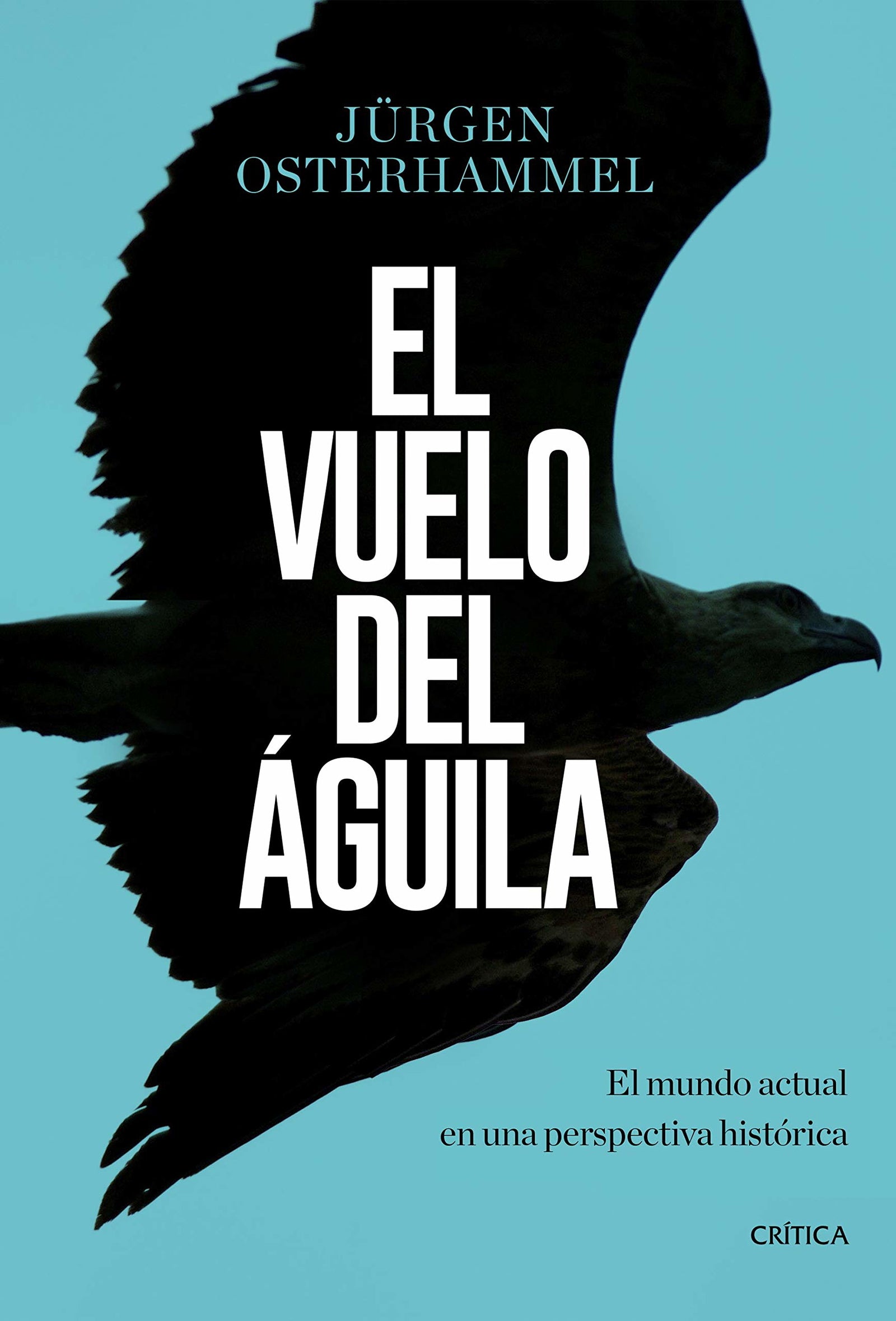 El vuelo del águila: El mundo actual en una perspectiva histórica (Libros de Historia)