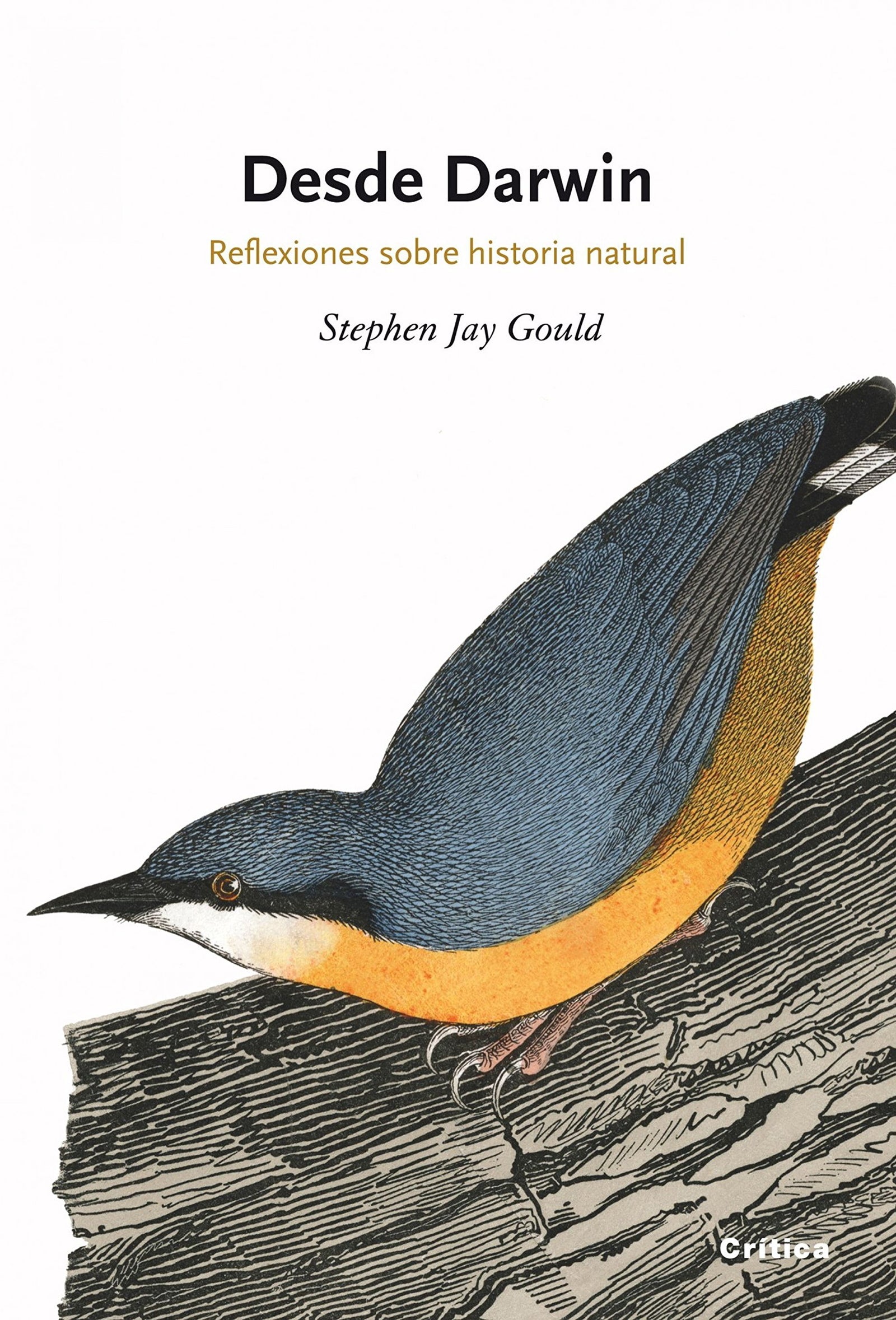 Desde Darwin: Reflexiones sobre historia natural: 1 (Drakontos)