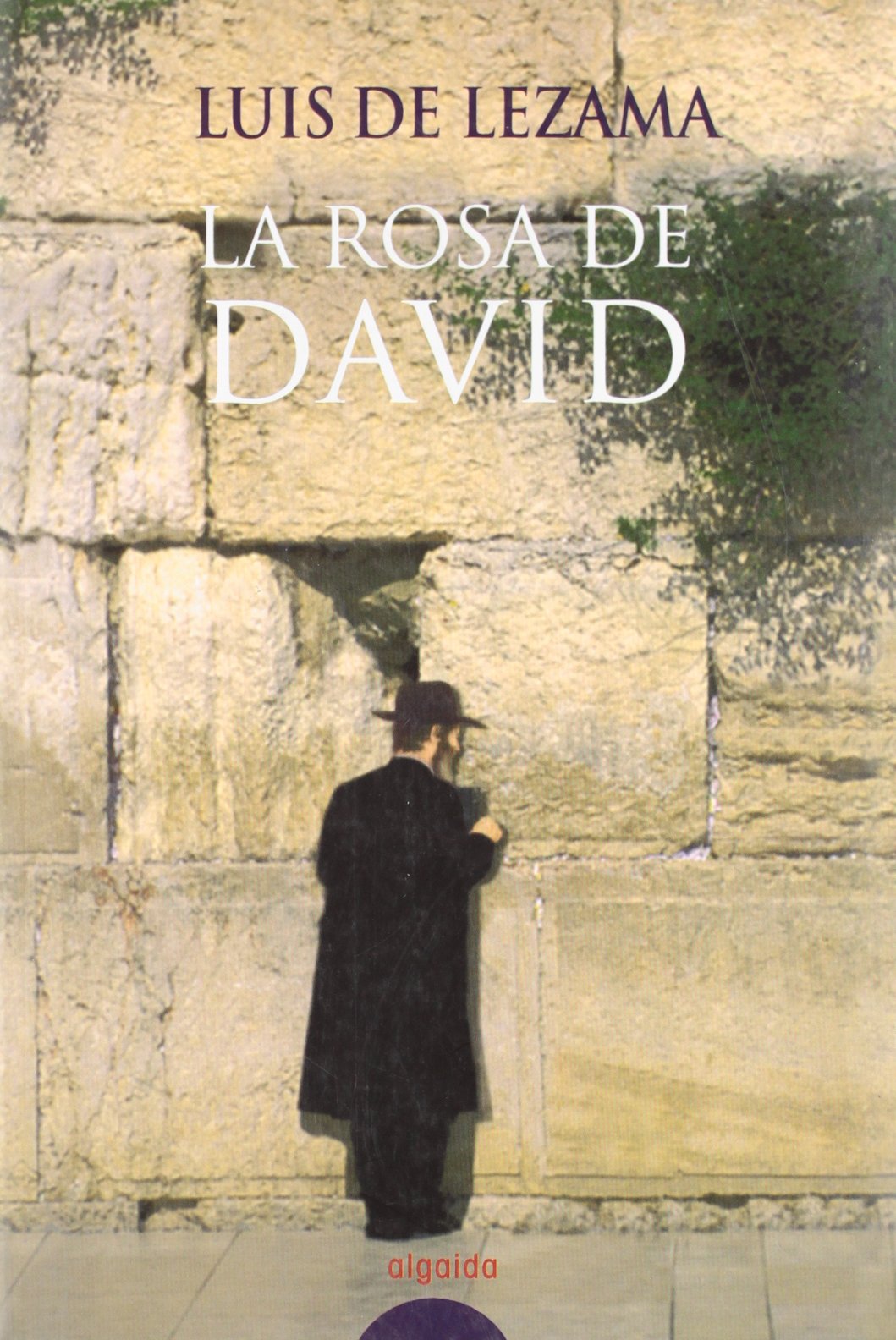 ROSA DE DAVID-ALGAIDA (ALGAIDA LITERARIA/NARRATIVA)