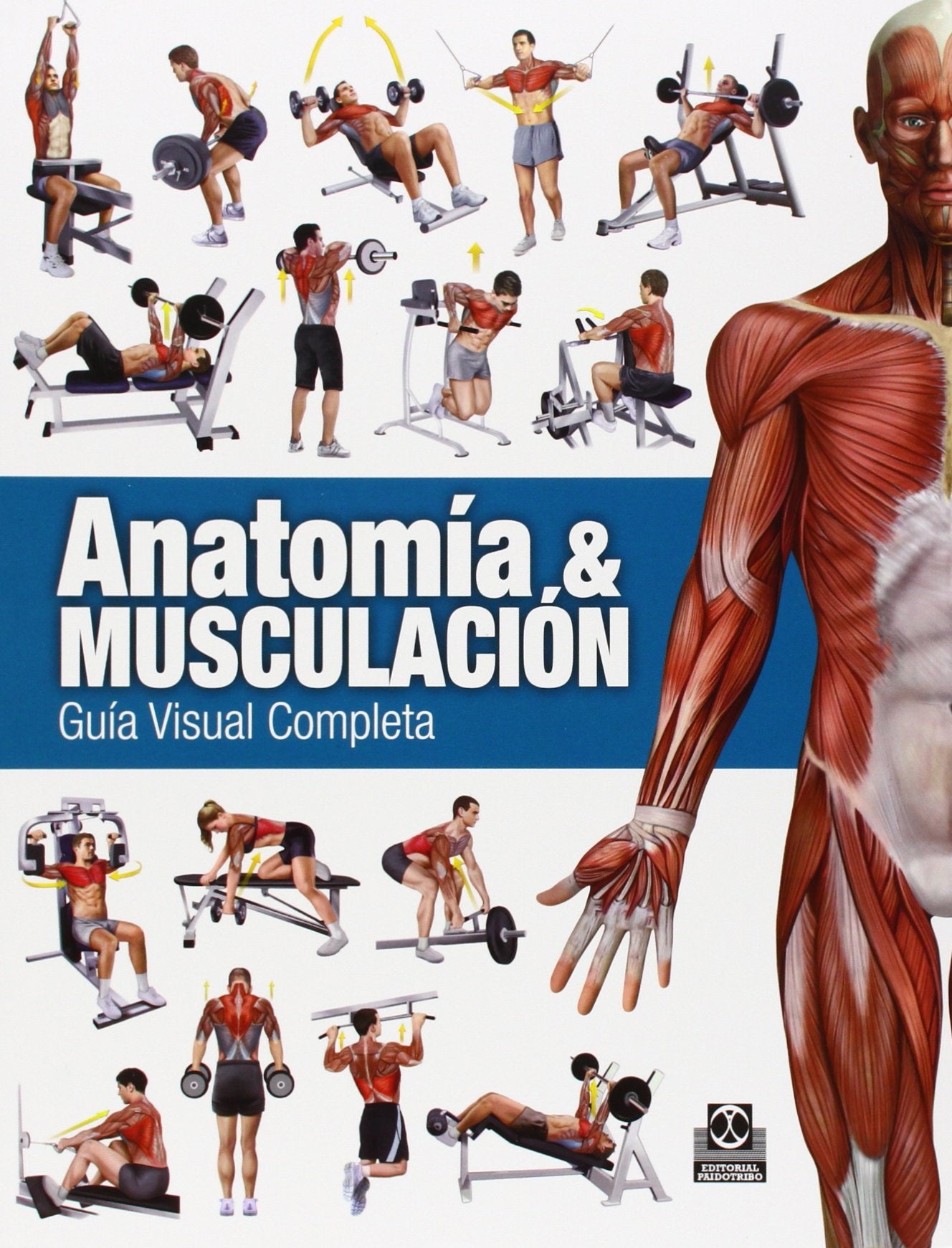 Anatomía & Musculación. Guía visual completa