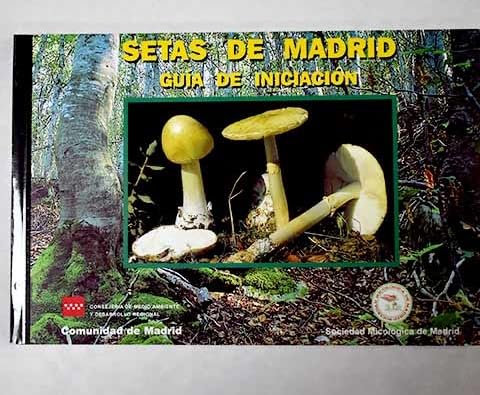 Guía De Iniciación