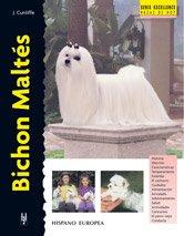 Bichon Maltés (Excellence)