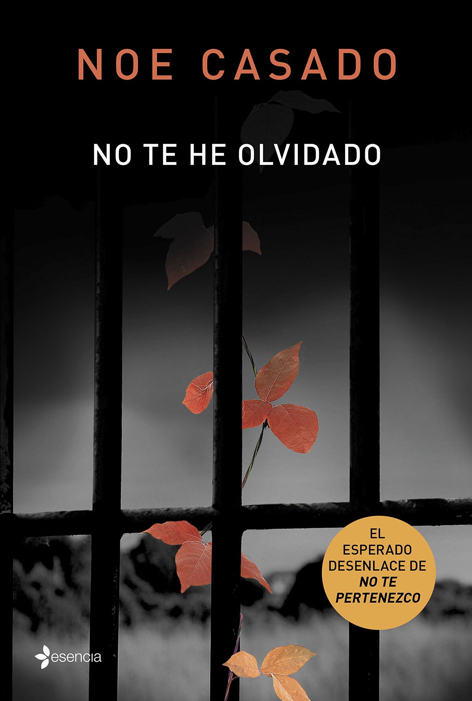 No te he olvidado (Erótica)