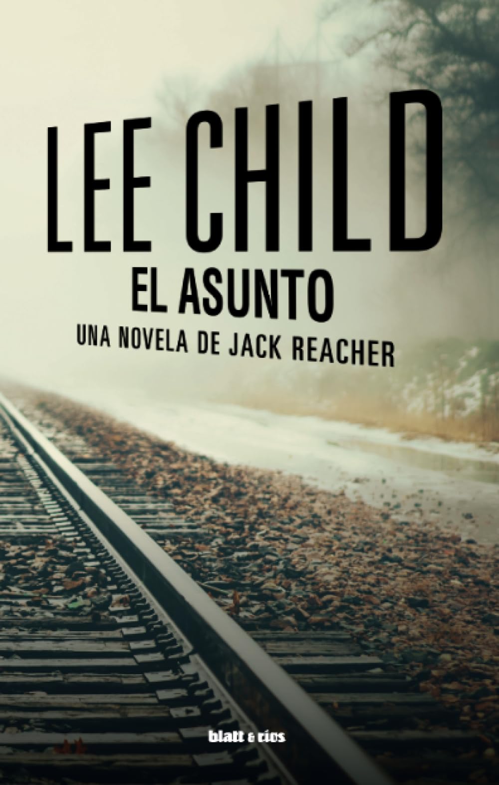 El asunto: Una novela de Jack Reacher (SIN COLECCION)