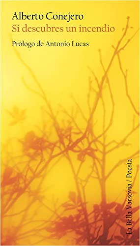 Si Descubres Un Incendio (POESIA)