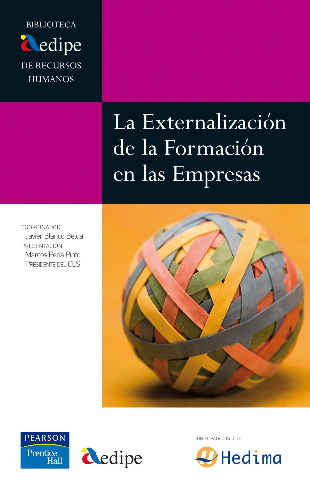 Aedipe: la externalización de la formaci (Biblioteca AEDIPE)