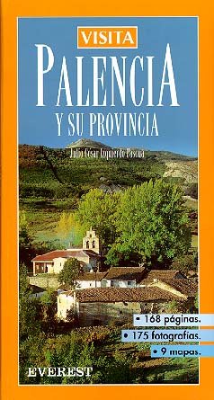 Visita Palencia y su Provincia (Visita / Serie Azul)