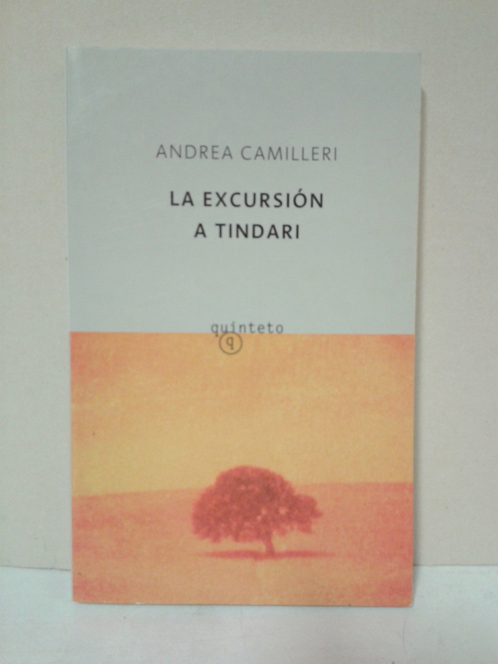 La excursión a Tindari
