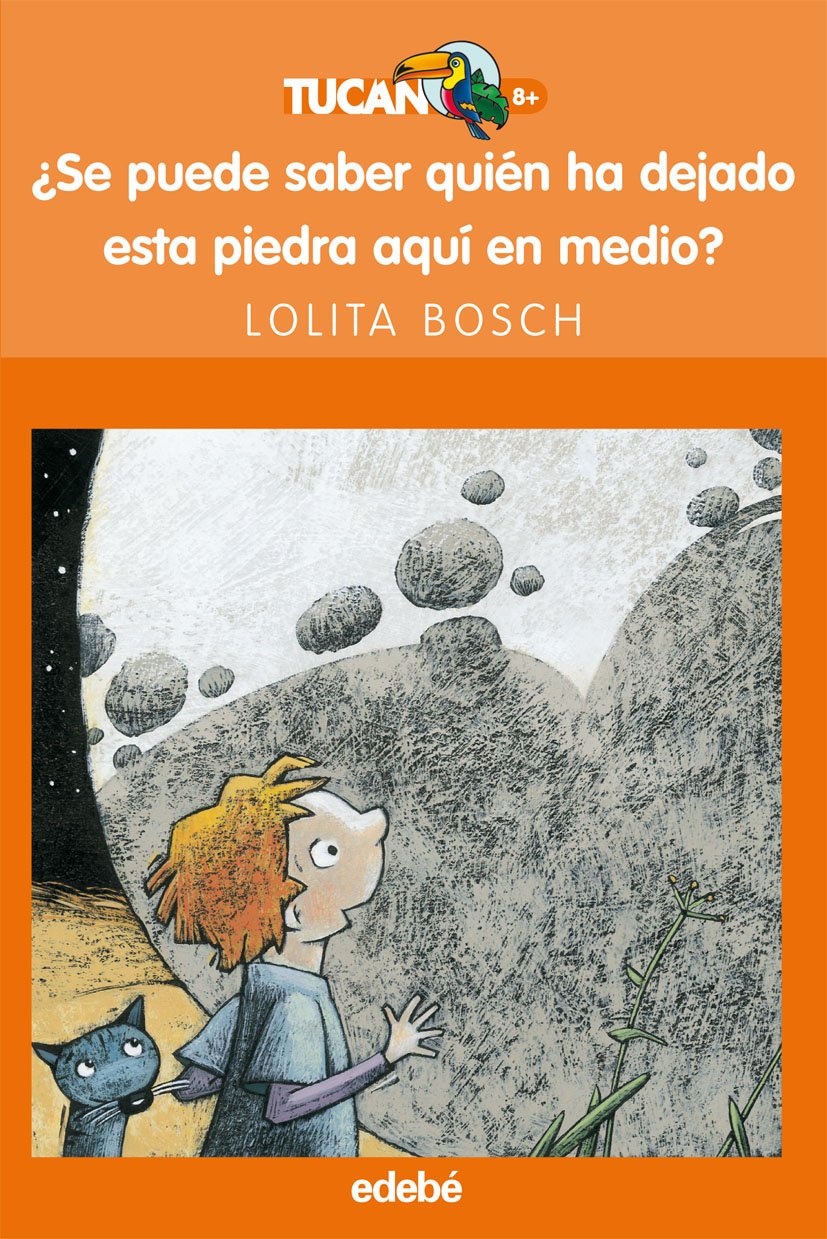 ¿SE PUEDE SABER QUIÉN HA DEJADO ESTA PIEDRA AQUÍ EN MEDIO?: 42 (TUCAN NARANJA)