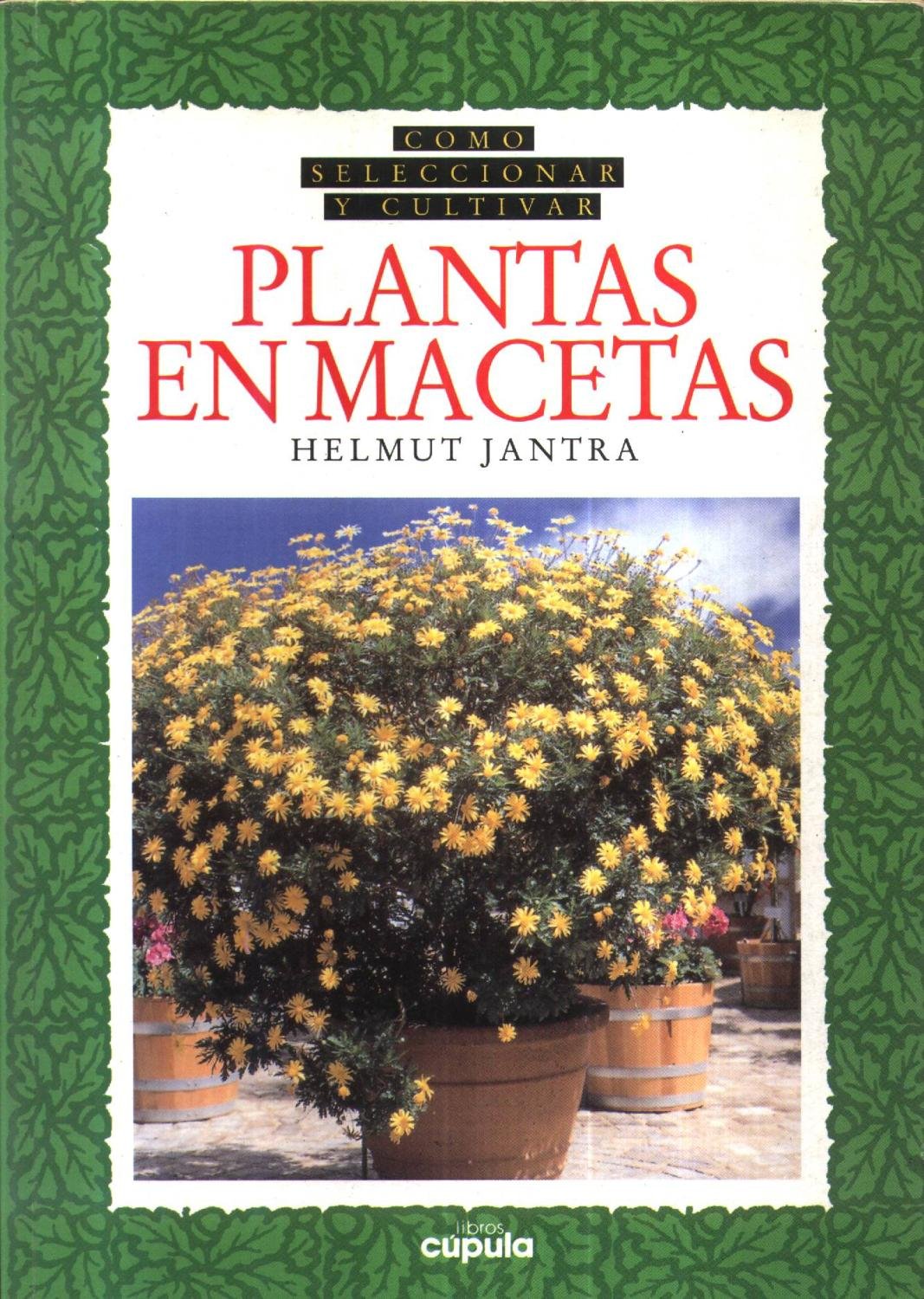 PLANTAS EN MACETAS CUID-PARA (SIN COLECCION)