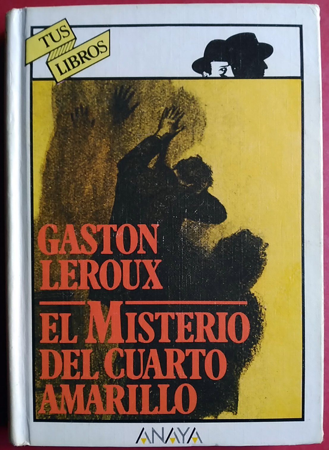 El Misterio Del Cuarto Amarillo