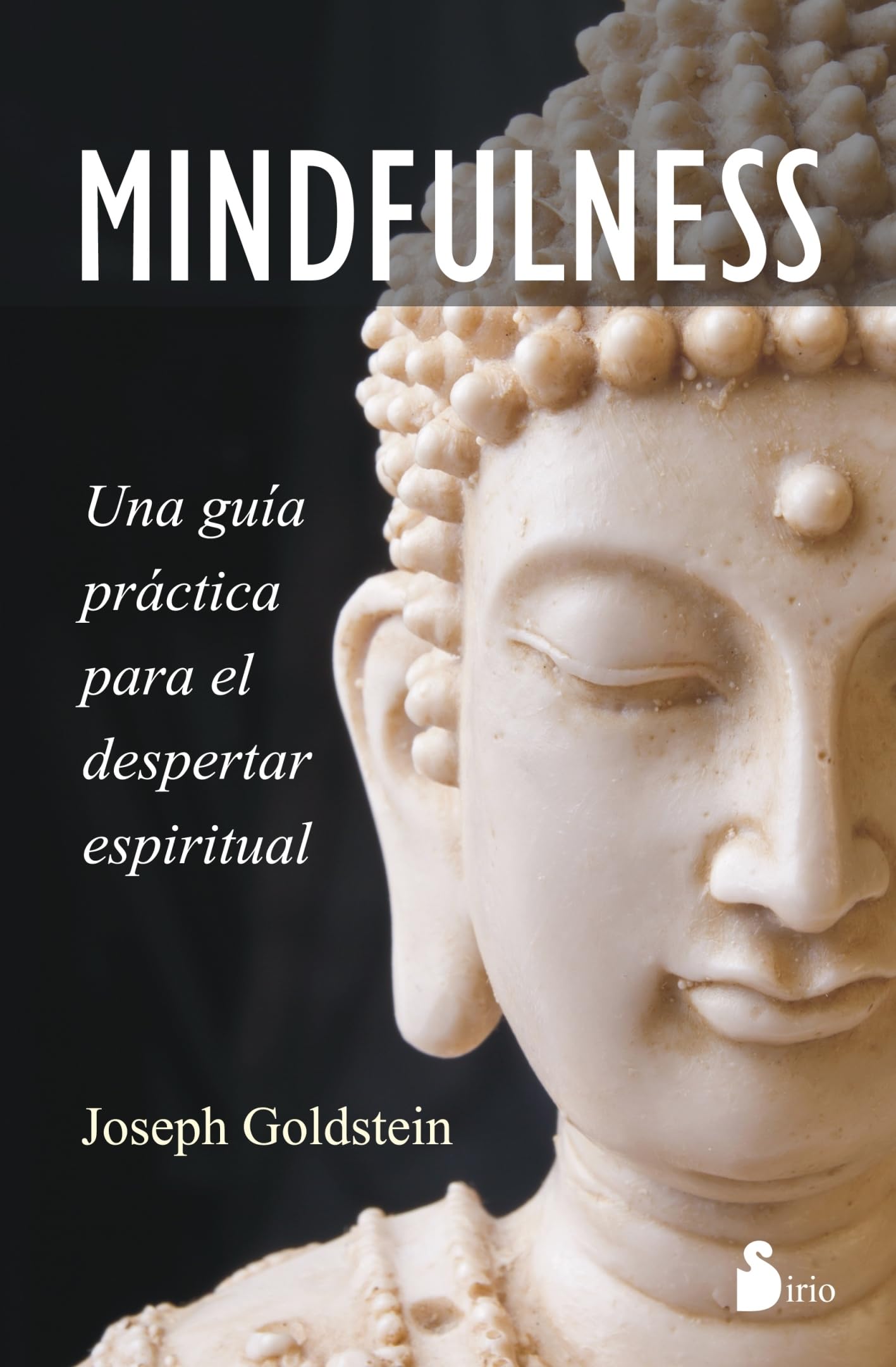 MINDFULNESS: Una guía práctica para el despertar espiritual (AUTOAYUDA)