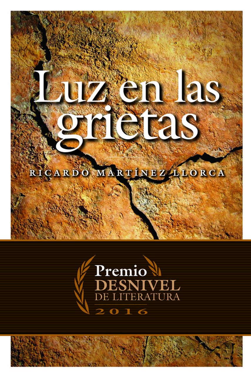 Luz en las grietas (LITERATURA)
