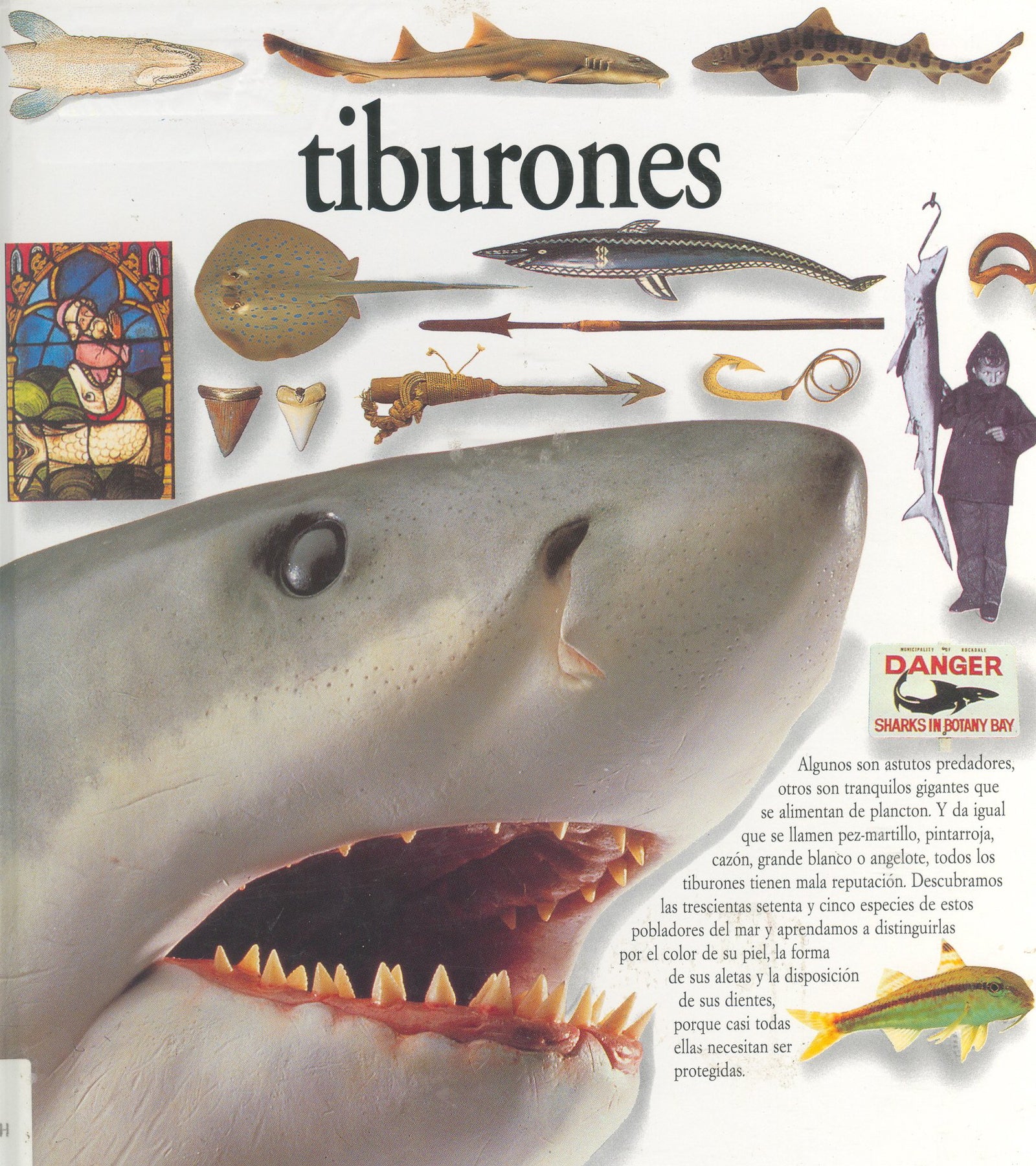 Tiburones/Sharks (Eyewitness Series in Spanish)