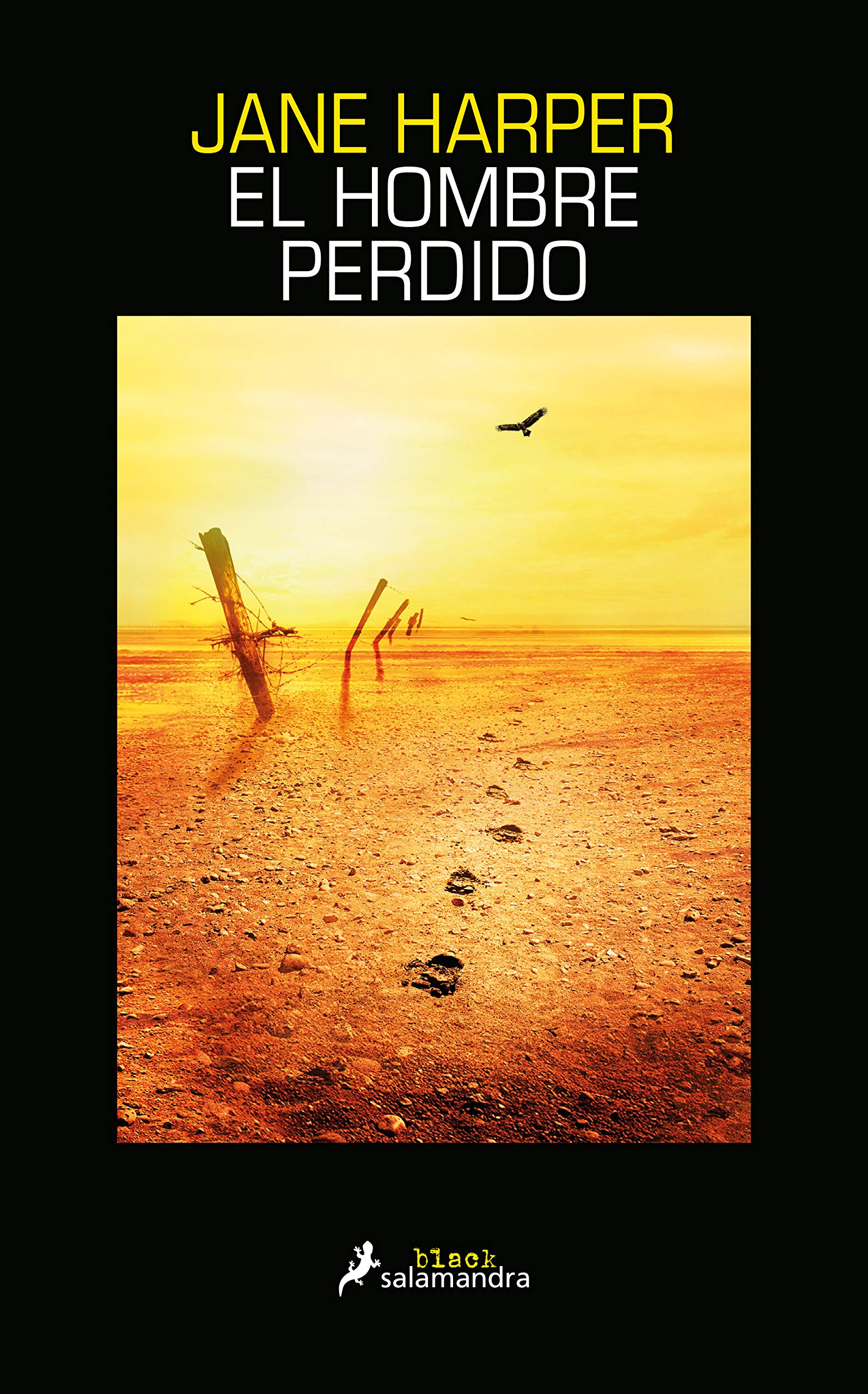 El hombre perdido (Salamandra Black)