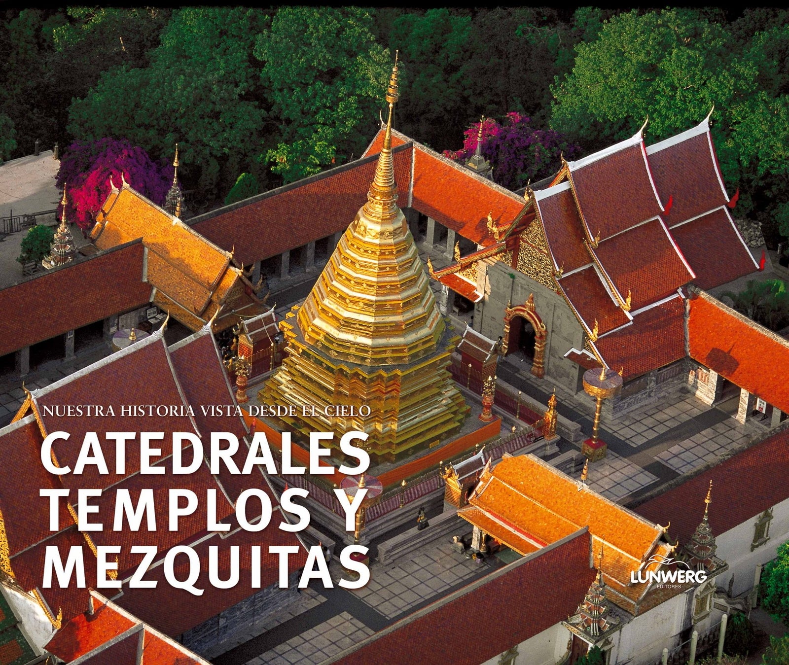 Catedrales, templos y mezquitas. Nuestra historia vista desde el cielo: 1 (General)