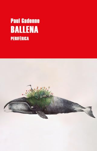 Ballena: 2 (Serie menor)