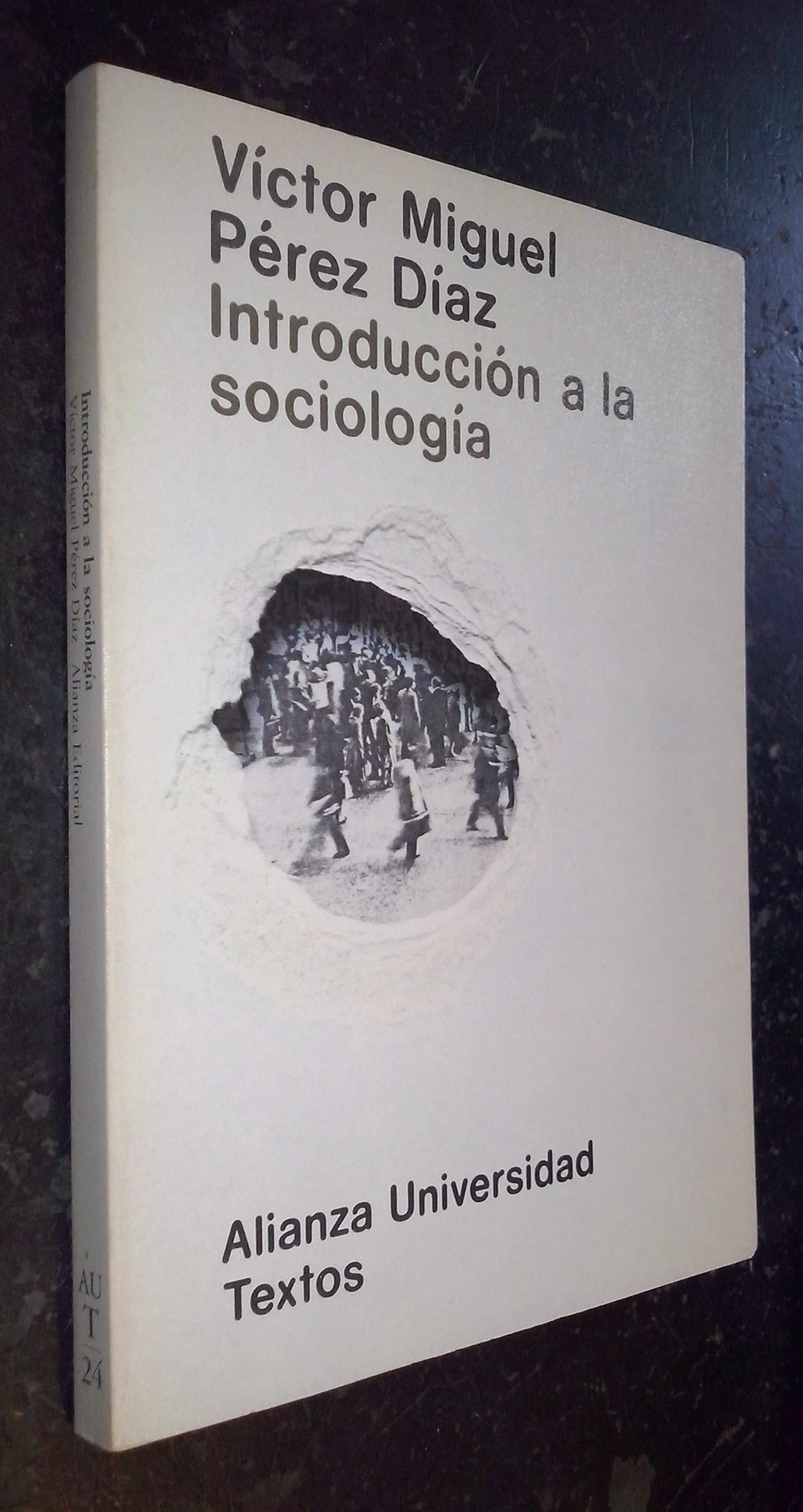 Introduccion a la sociologia