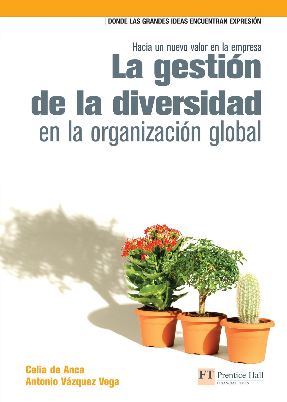 La gestión de la diversidad en la organización global (FT/PH)