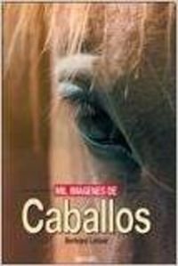 Mil imágenes de caballos
