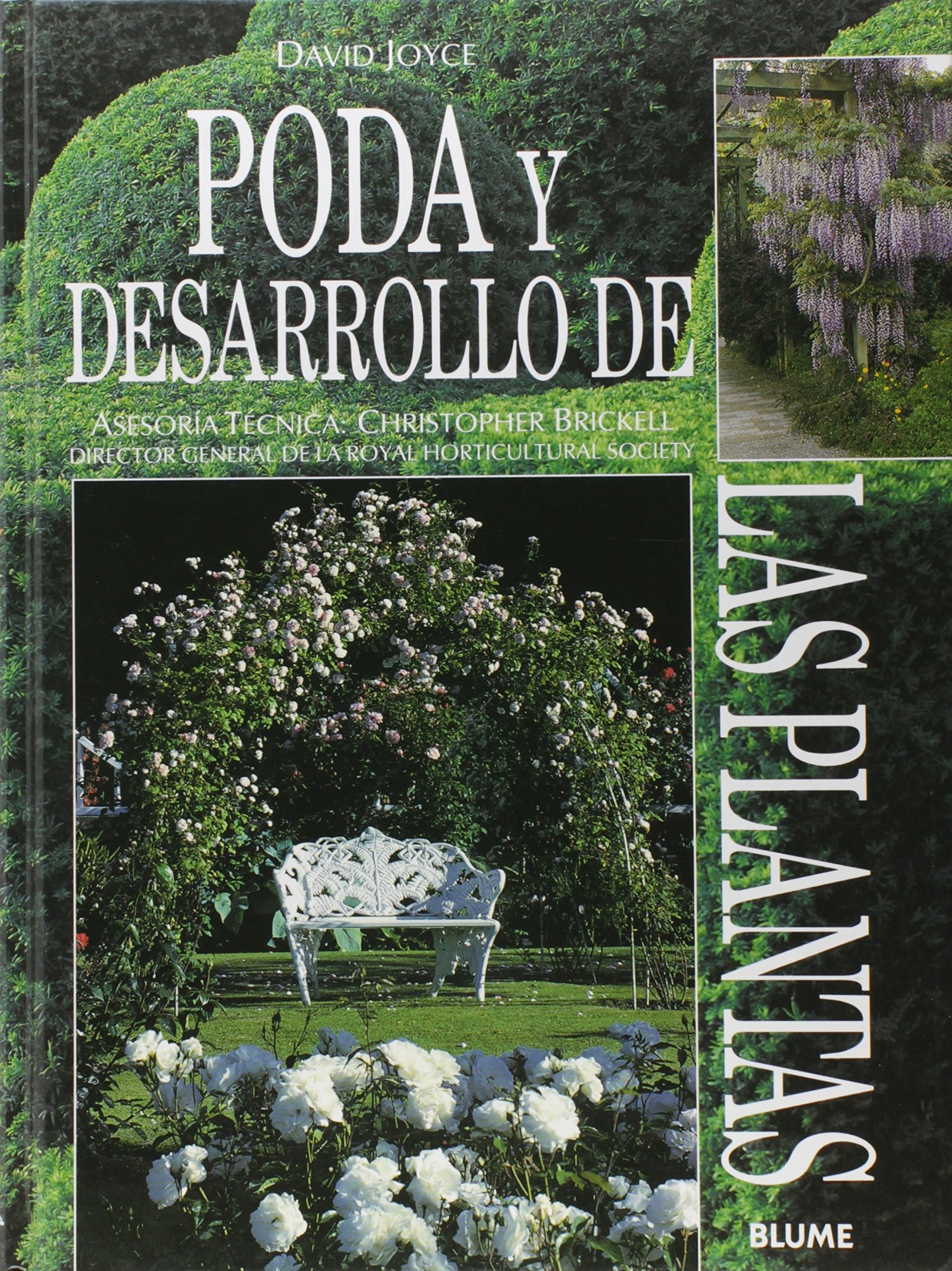 PODA Y DESARROLLO PLANTAS BLUME (LIBROS PRACTICOS)