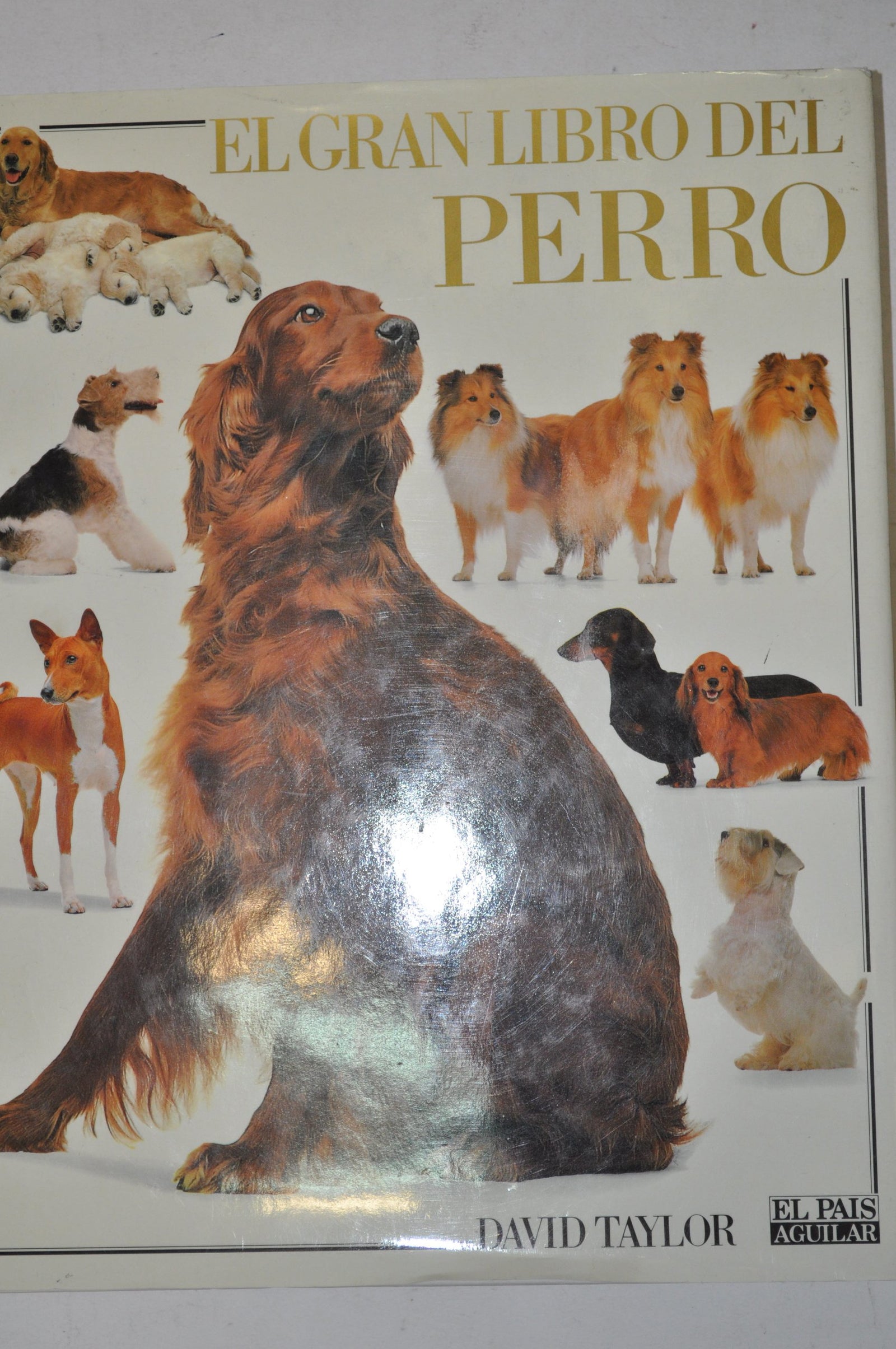 El gran libro del perro