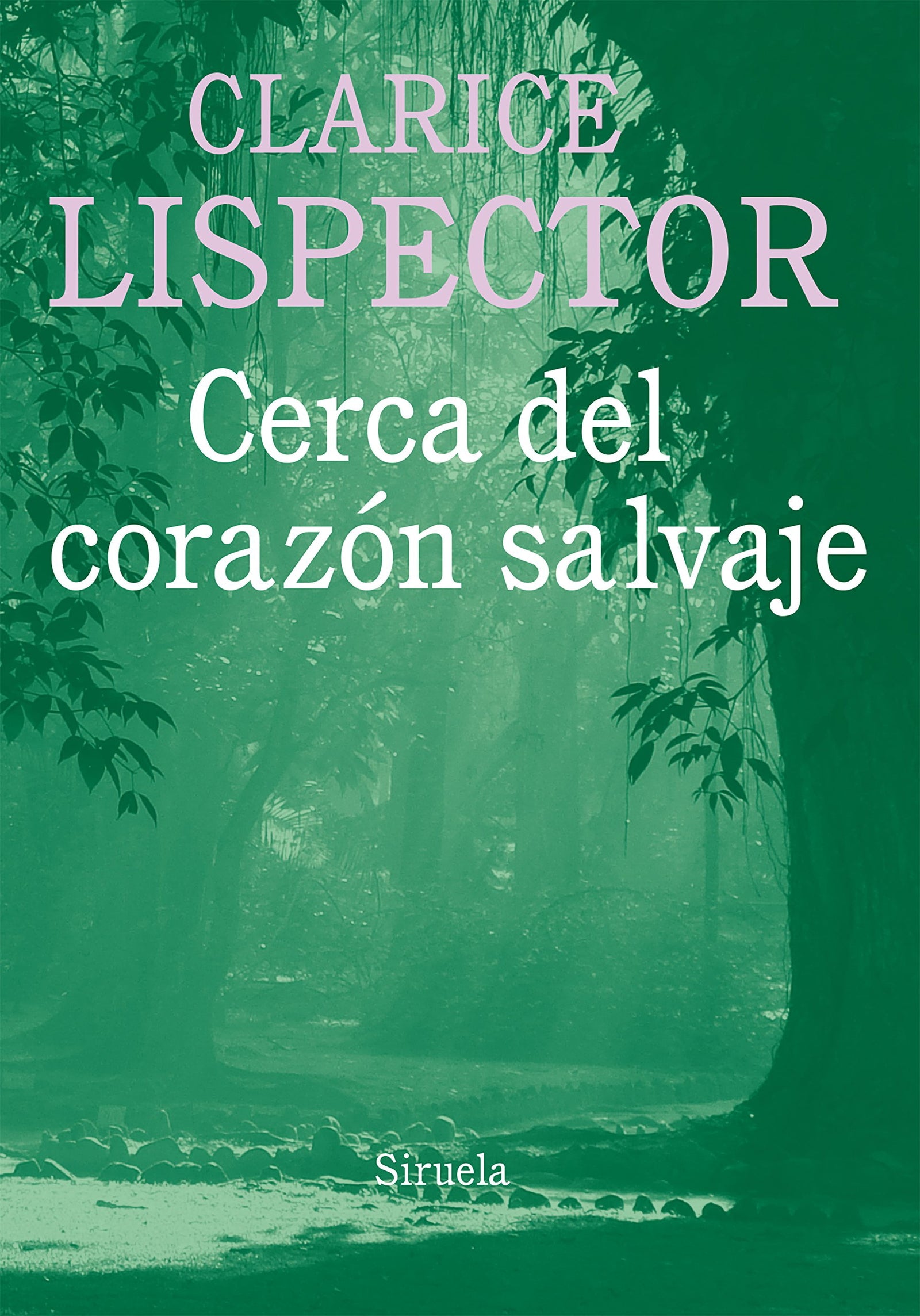 Cerca del corazón salvaje: 7 (Biblioteca Clarice Lispector)
