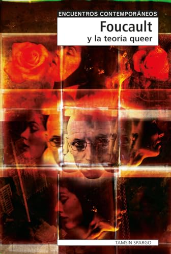 Foucault y la teoría queer (Encuentros Contemporáneos)