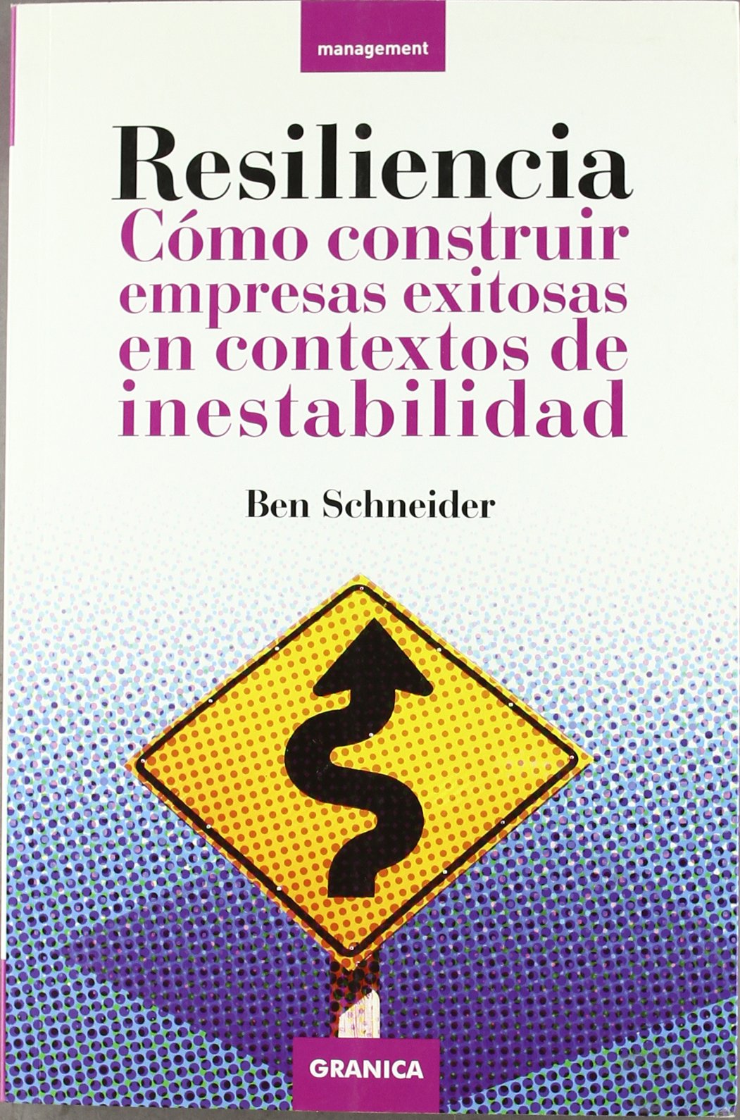 Resiliencia : cómo construir empresas exitosas en contextos de inestabilidad