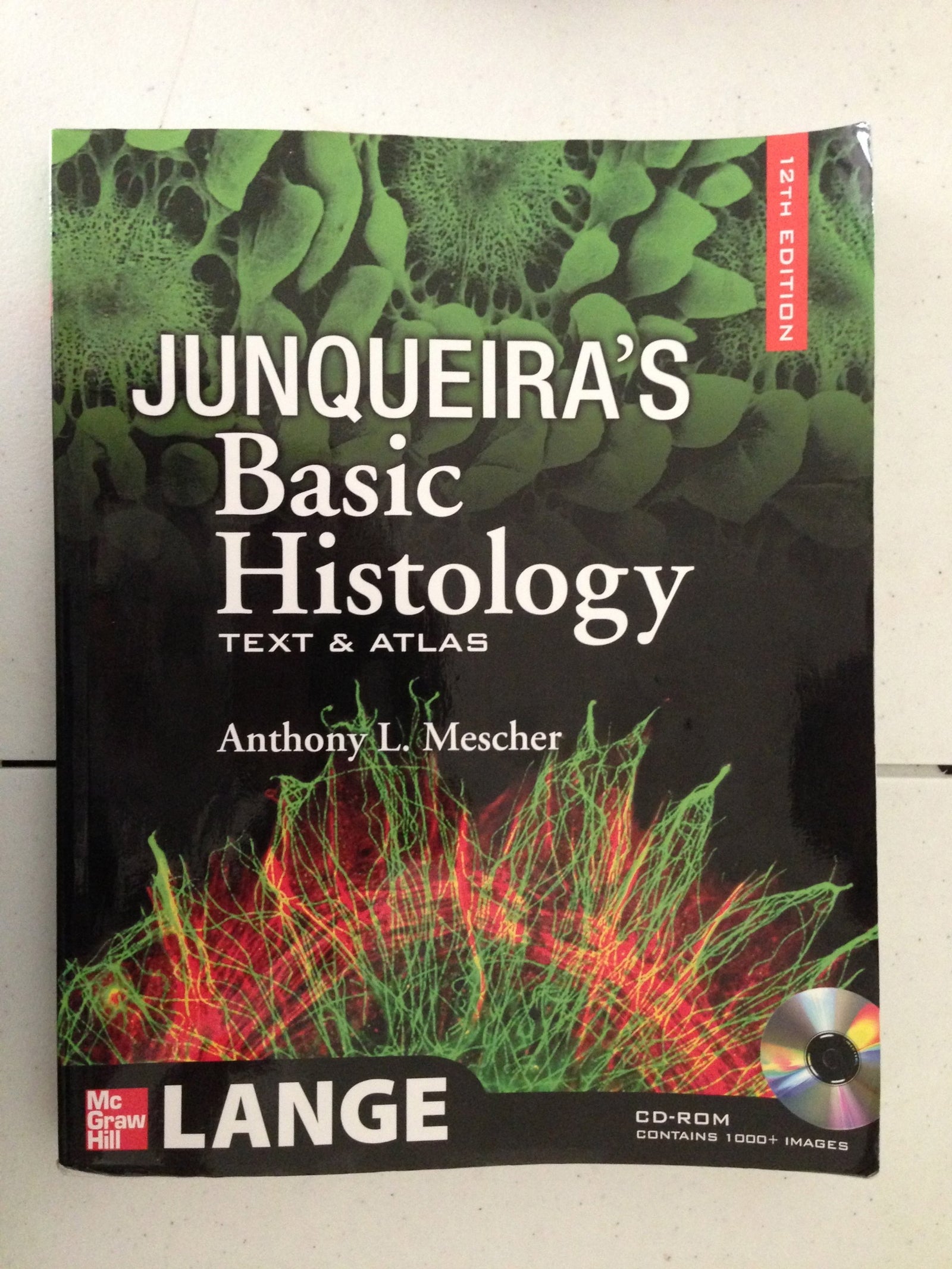 Ruido de muchas aguas: 13 (Palabra de Honor)