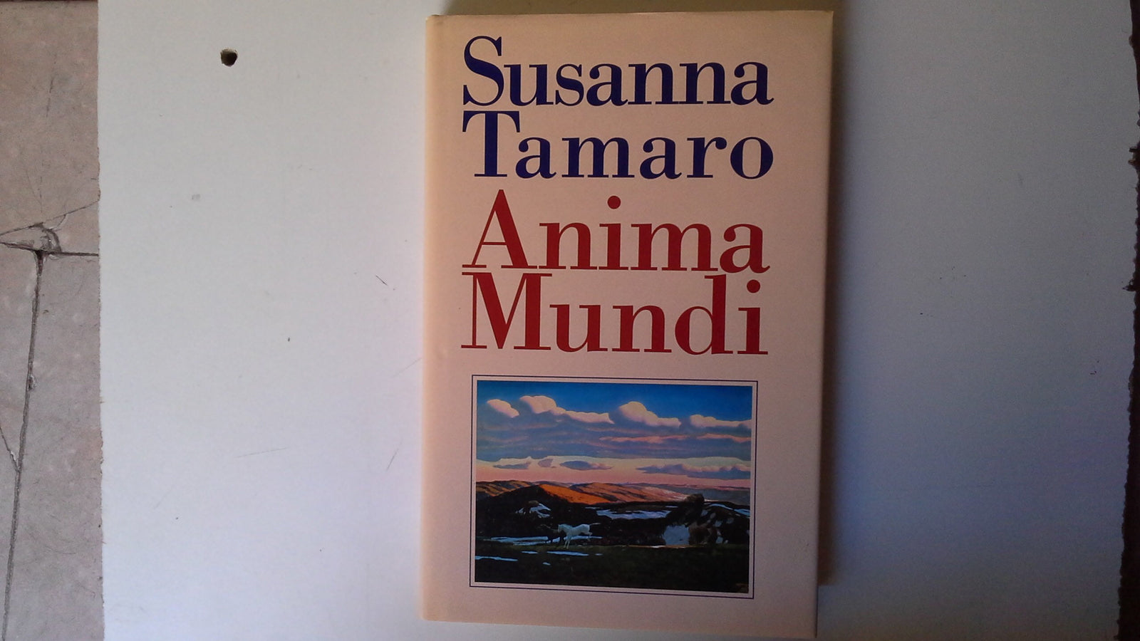 Anima mundi
