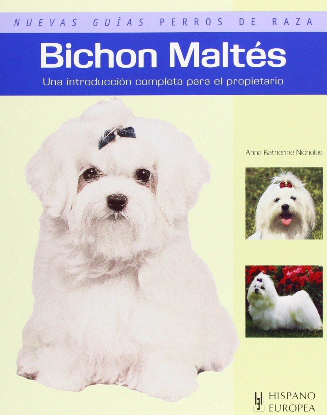 Bichon Maltés (Nuevas guías perros de raza)