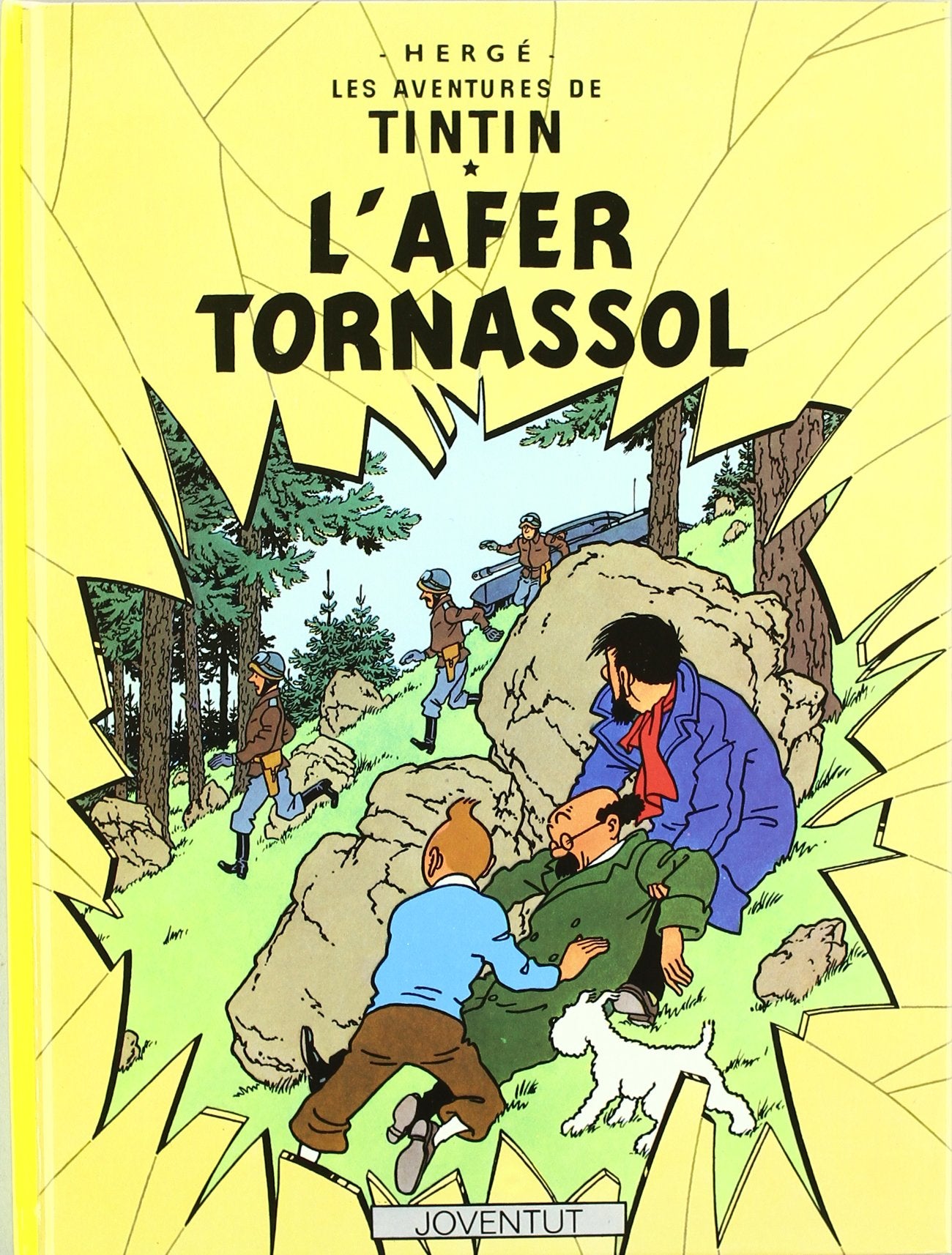 L'afer Tornassol (LES AVENTURES DE TINTIN CATALA)