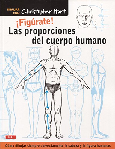 ¡Figúrate! Las proporciones del cuerpo humano