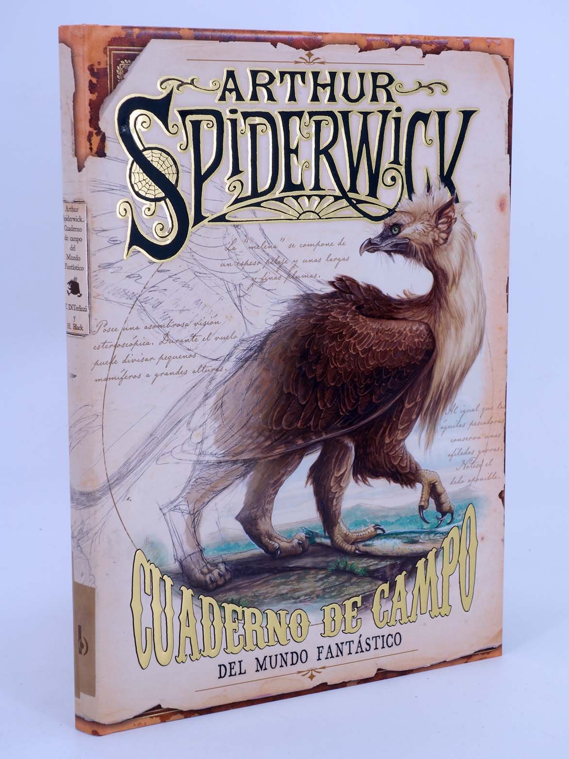 CUADERNO DE CAMPO DEL MUNDO FANTASTICO. ARTHUR SPIDERWICK: 00000 (VOLUMENES SINGULARES)