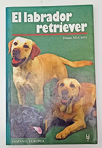 LABRADOR RETRIEVER (SALUD,YOGA,RELAJACION)