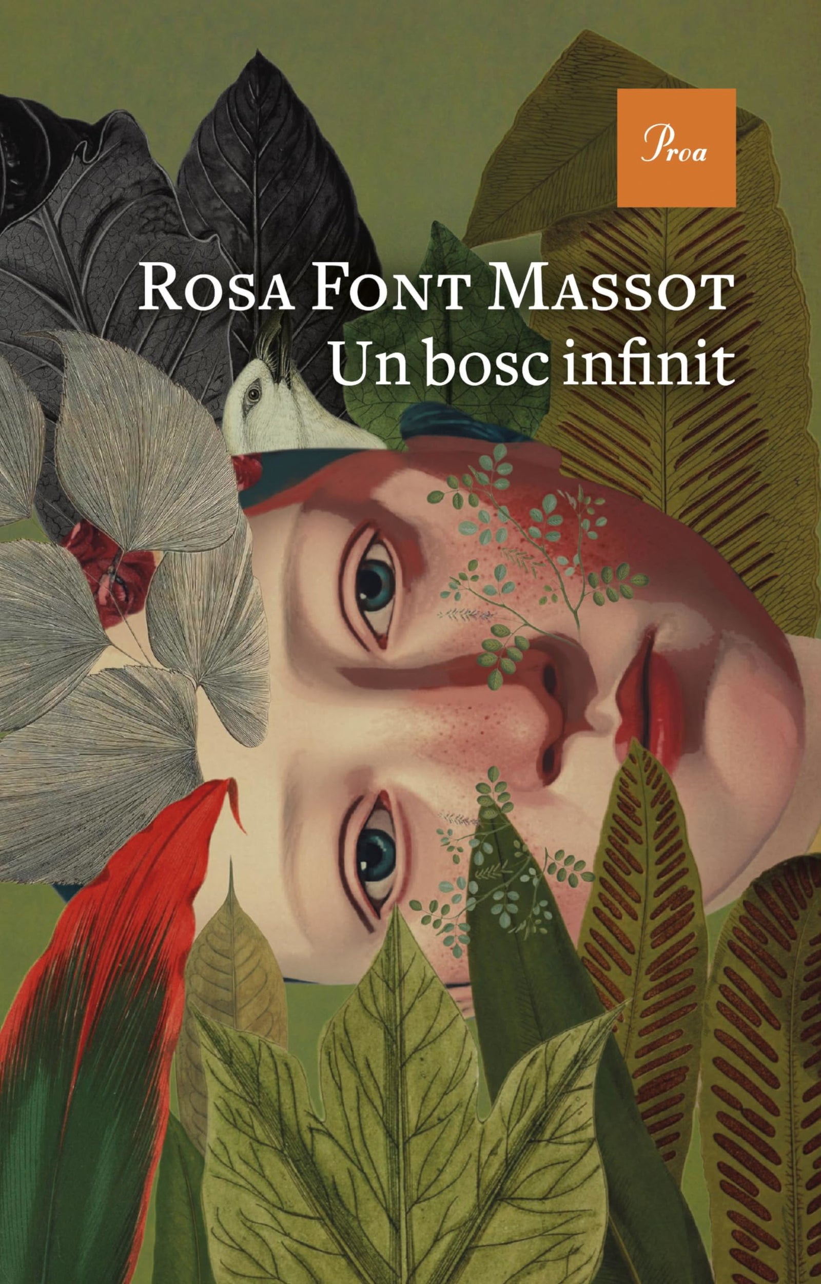 Un bosc infinit (A TOT VENT)