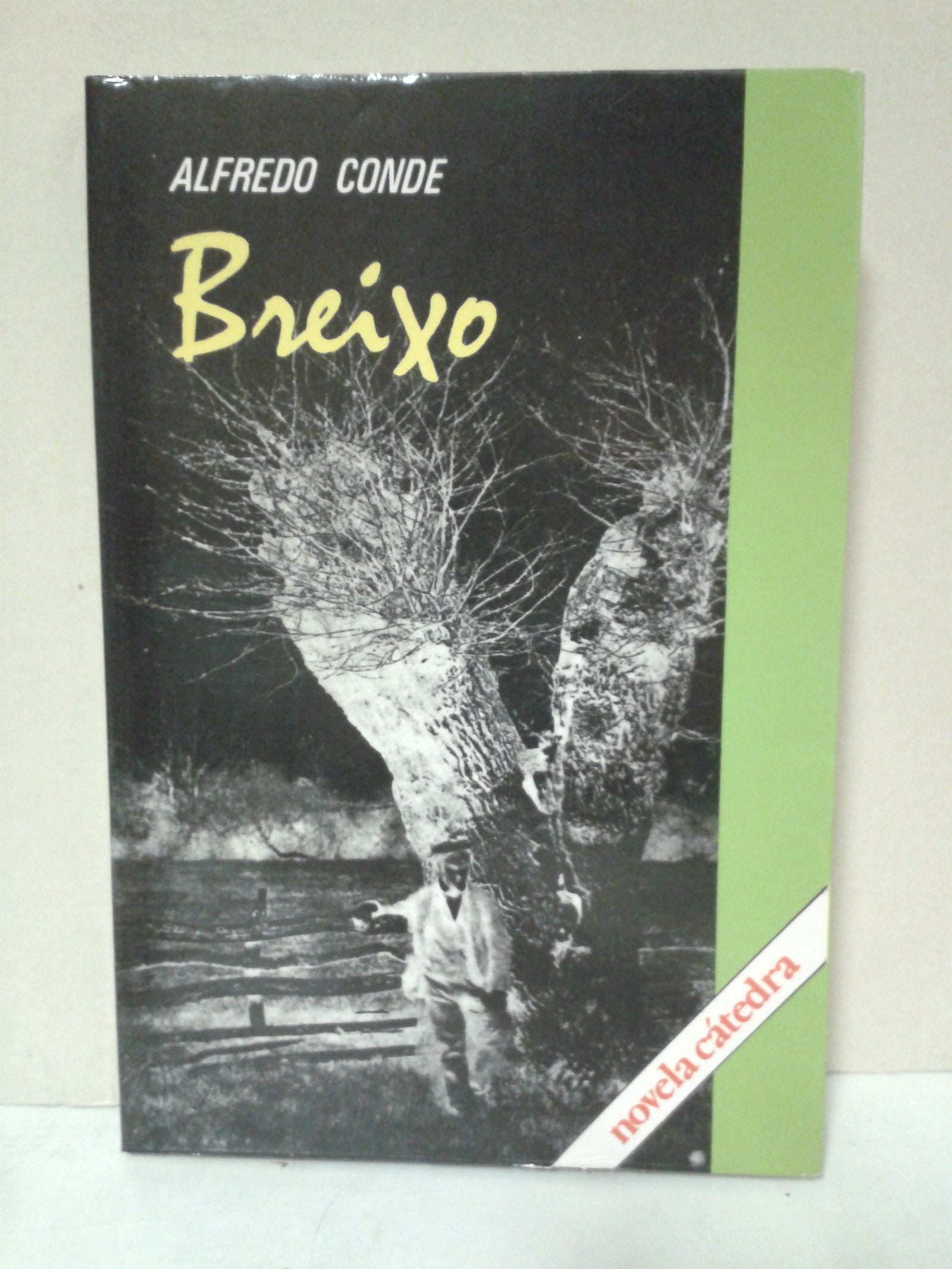 Breixo